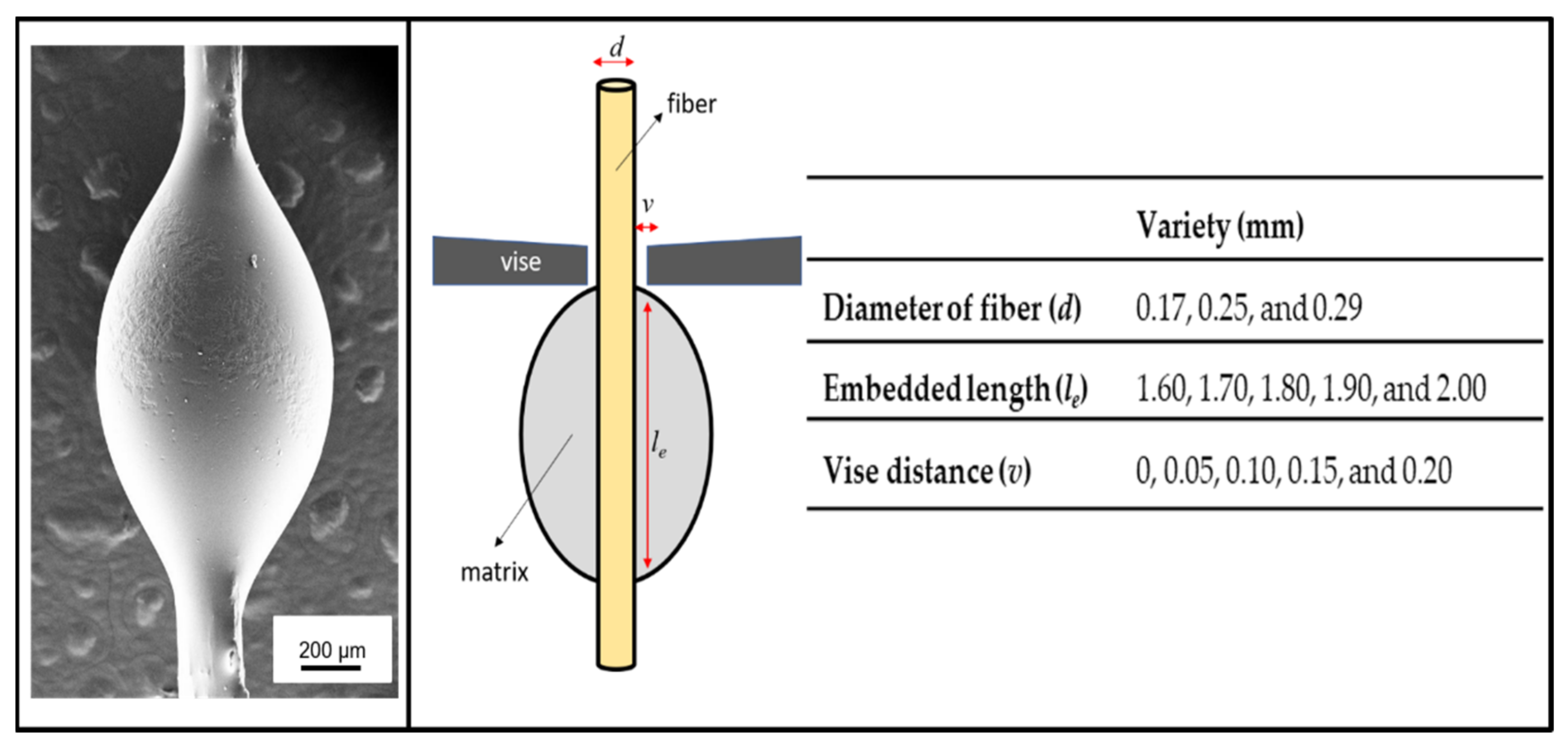 Polymers 14 01006 g002