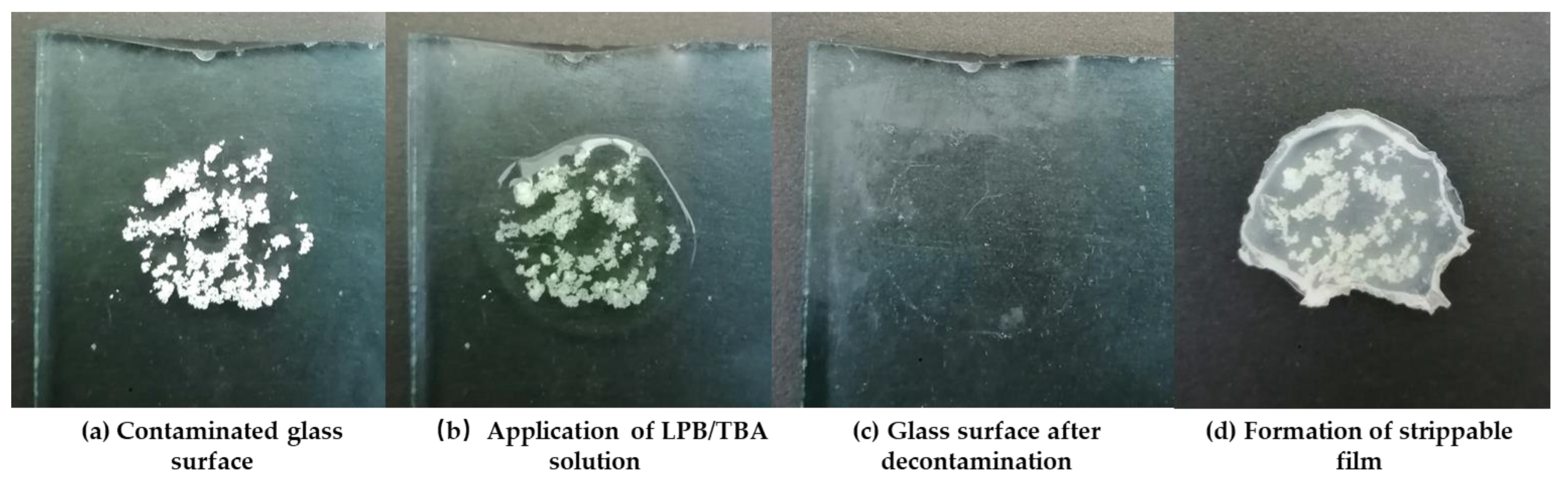 Polymers 14 01008 g009 550