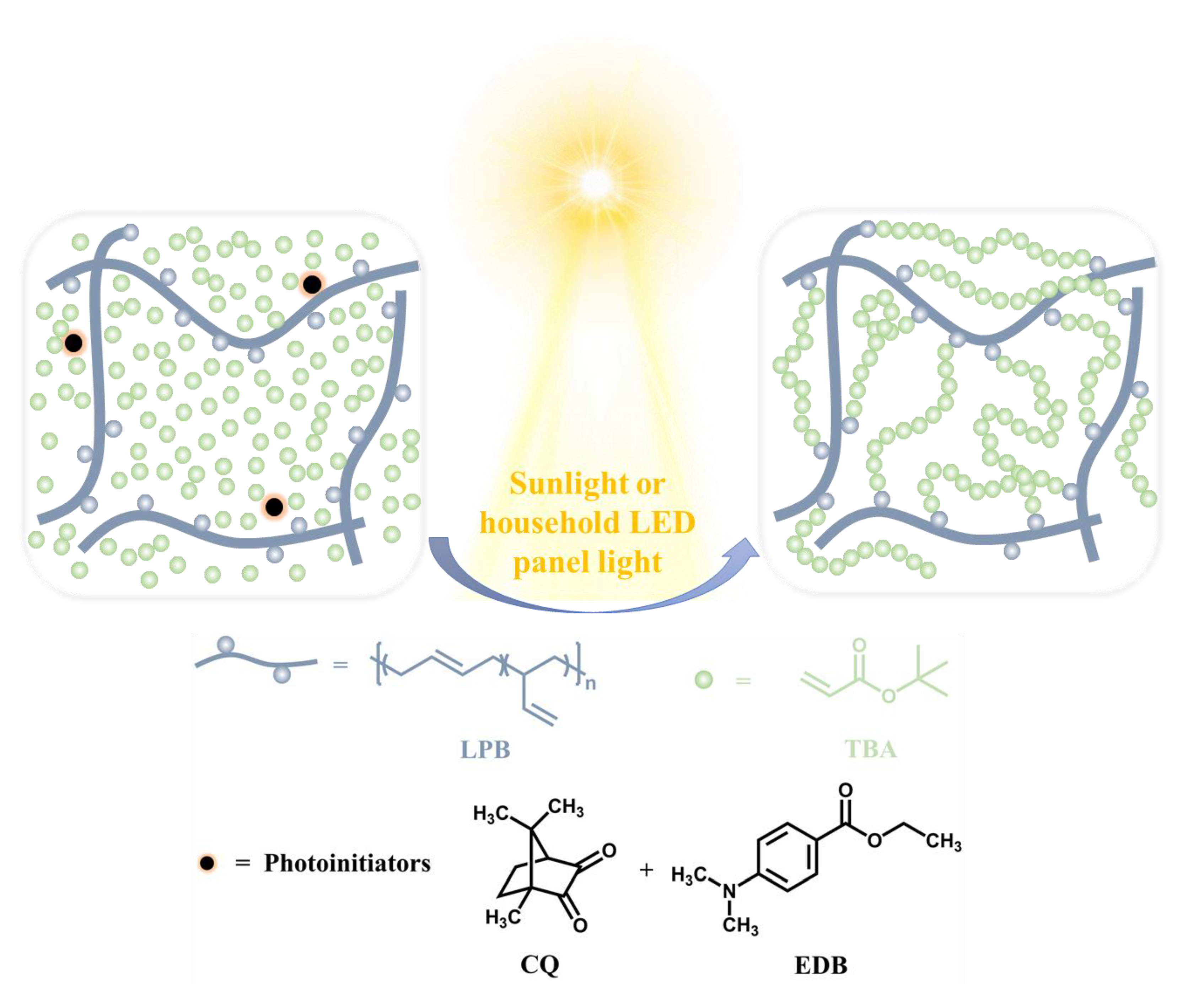Polymers 14 01008 sch001 550