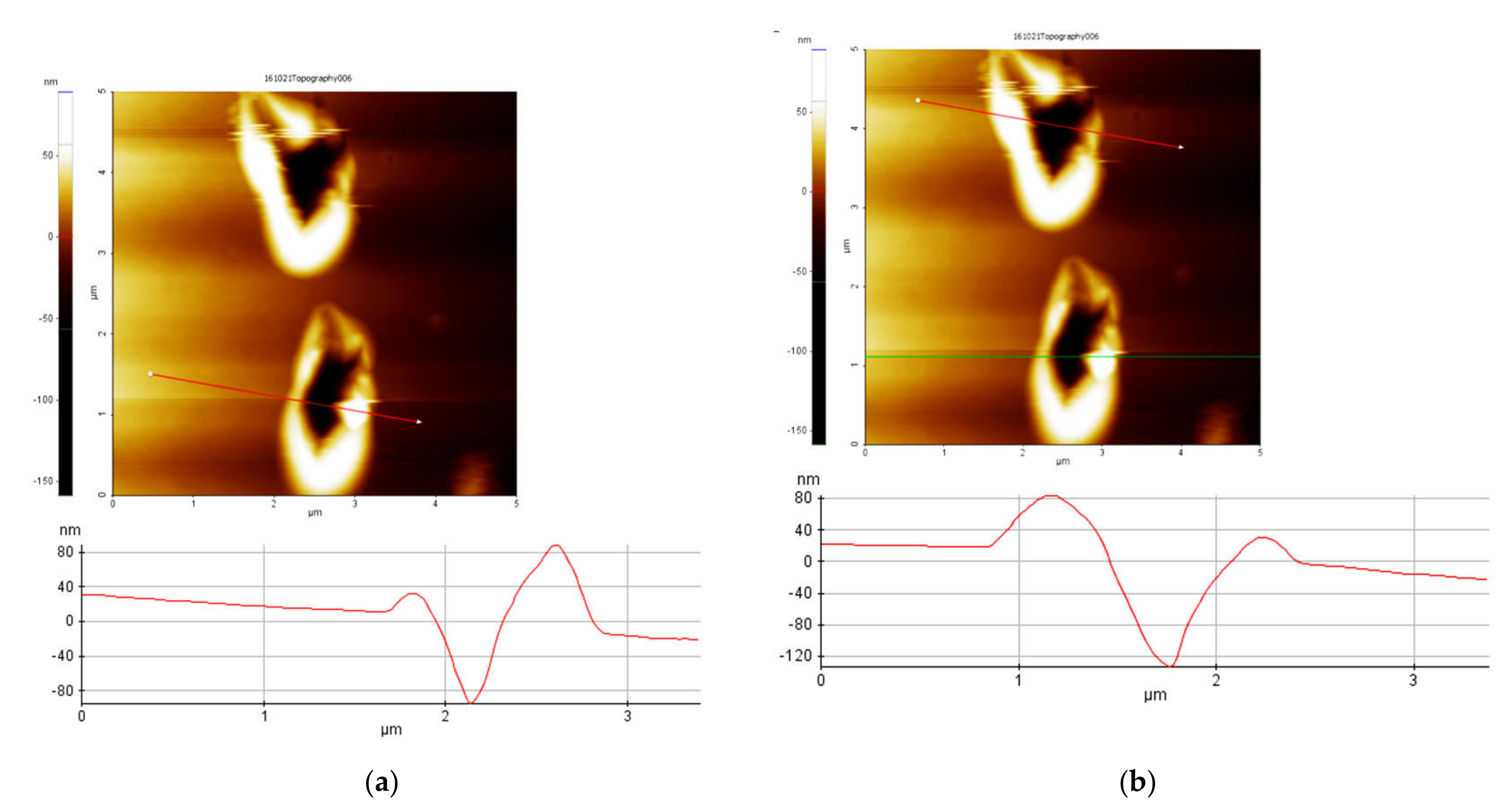 Polymers 14 01009 g003 550