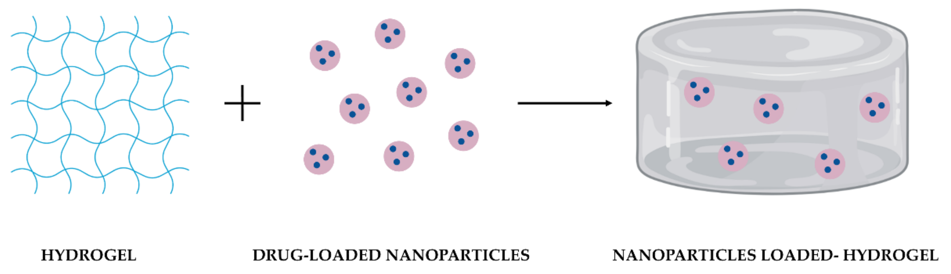 Polymers 14 01010 g002 550