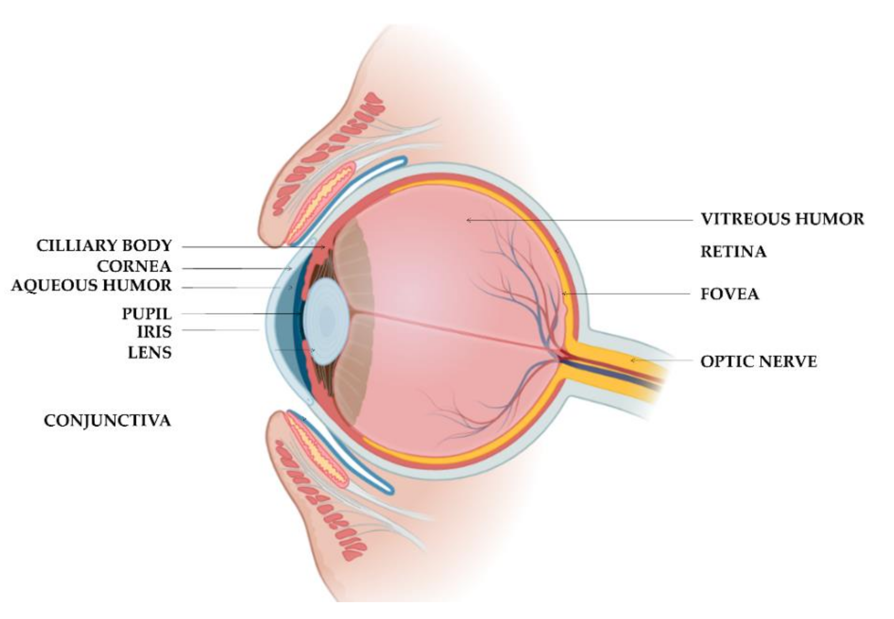 Polymers 14 01010 g004 550