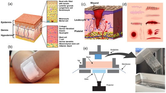 Surgical glue- a promising technology for wound healing