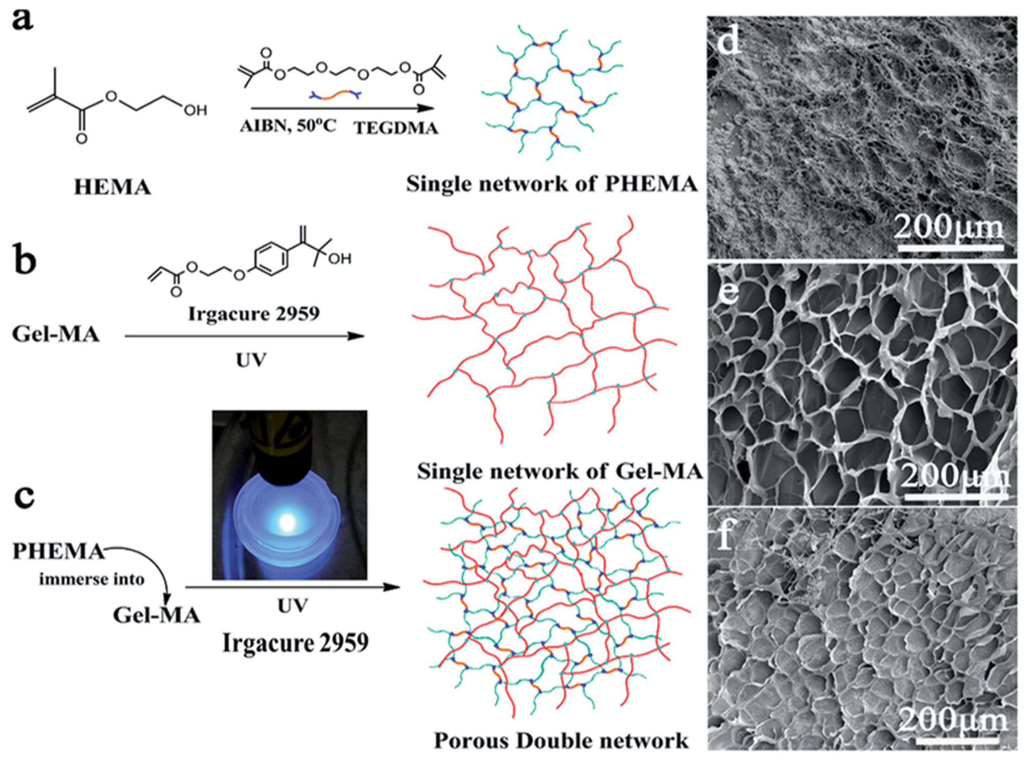 Polymers 14 01012 g003 Polymers 14 01012 g003