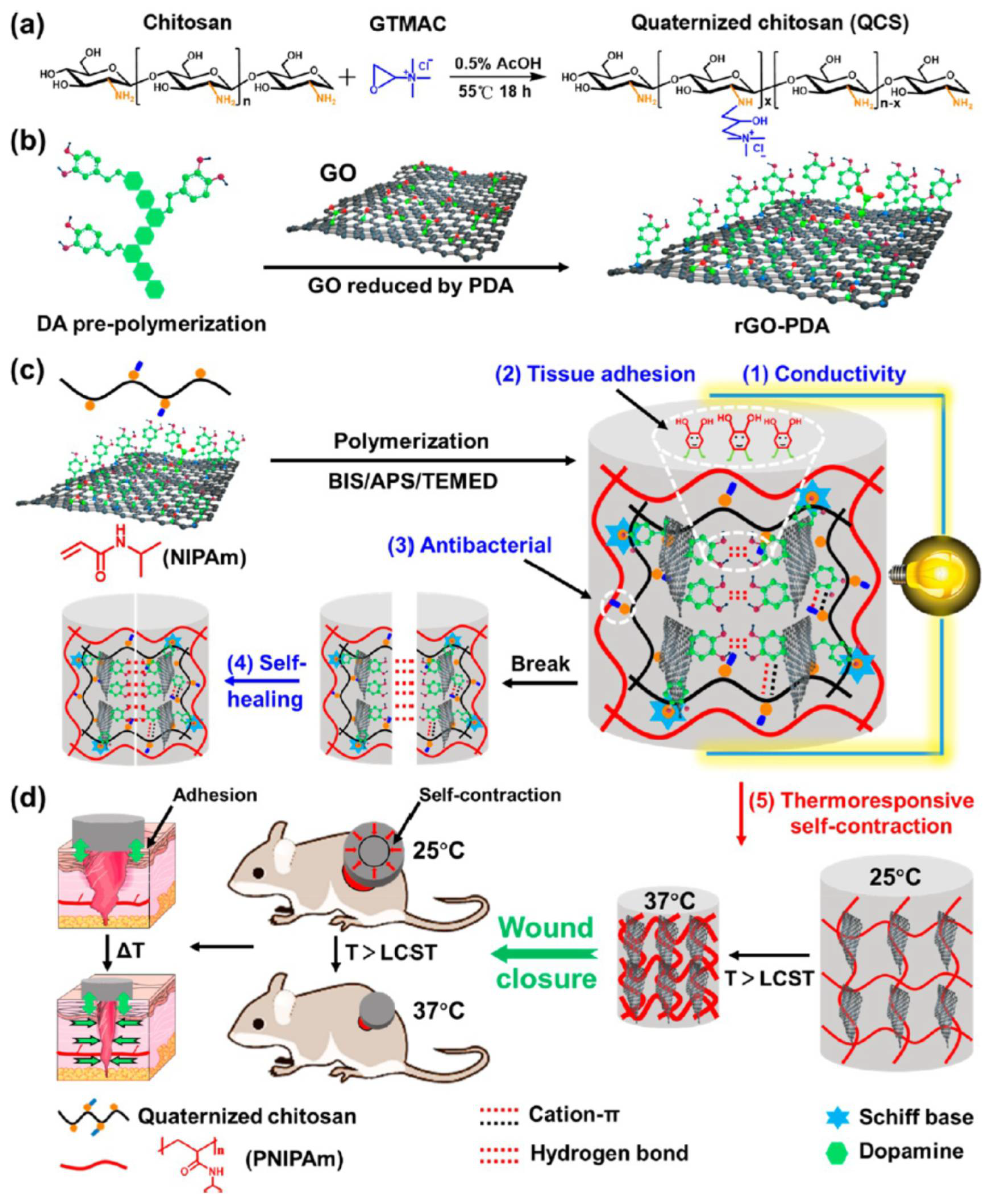 Polymers 14 01012 g007 Polymers 14 01012 g007