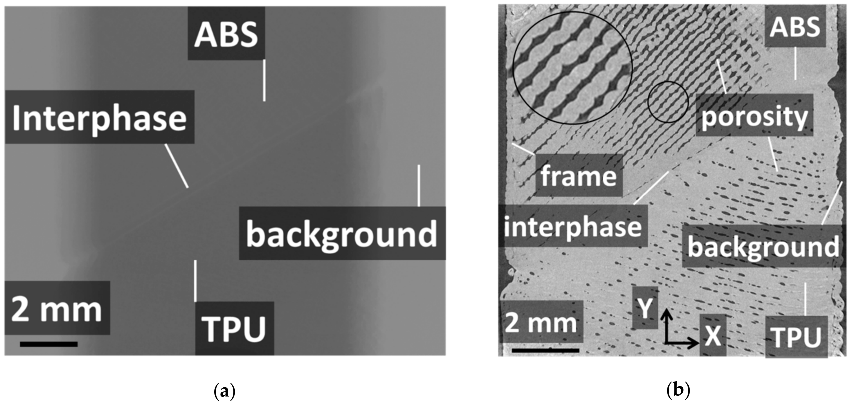 Polymers 14 01013 g004 550