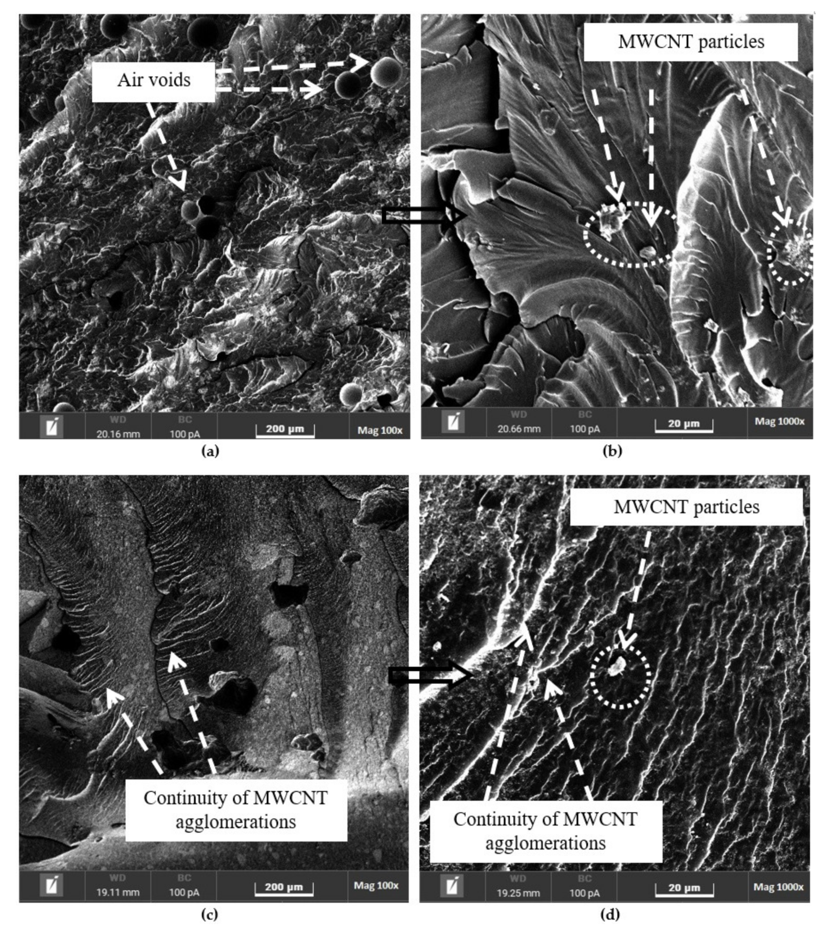 Polymers 14 01014 g010 550
