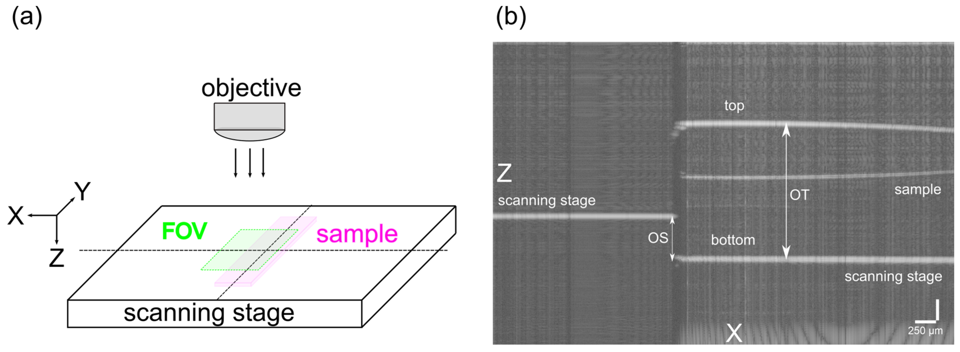 Polymers 14 01015 g005