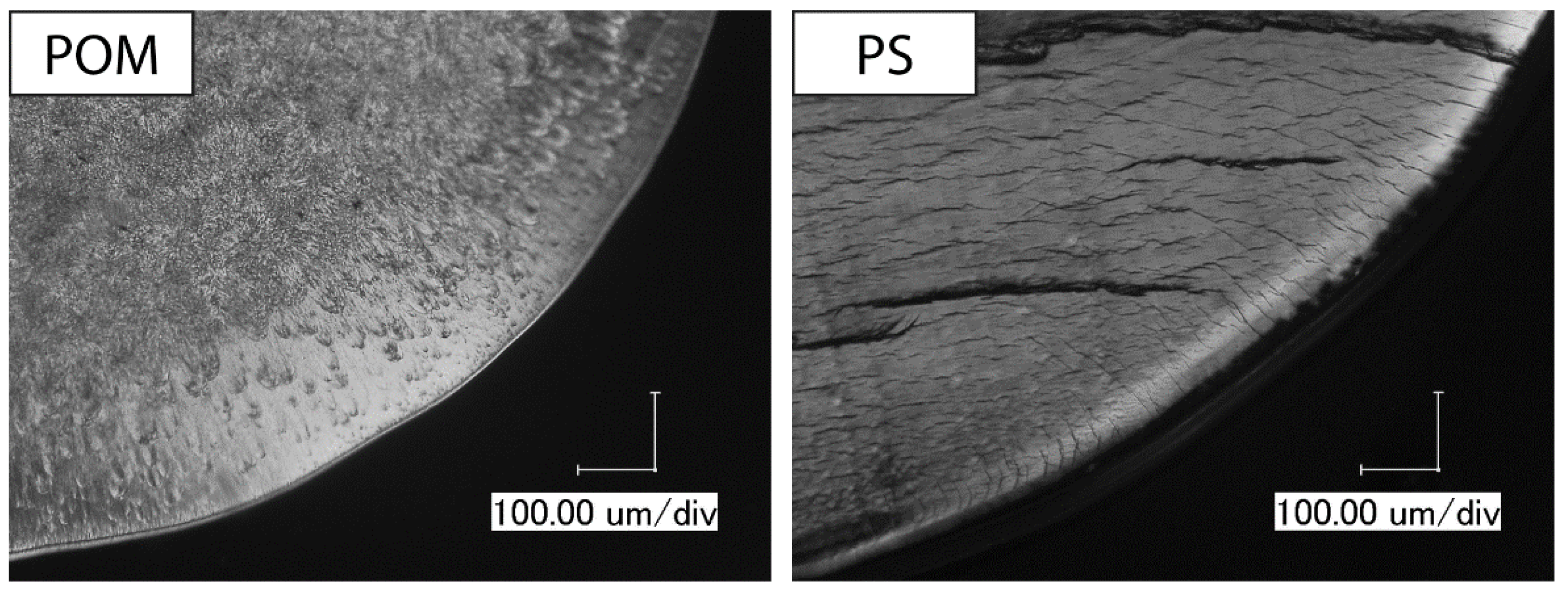 Polymers 14 01016 g008b 550