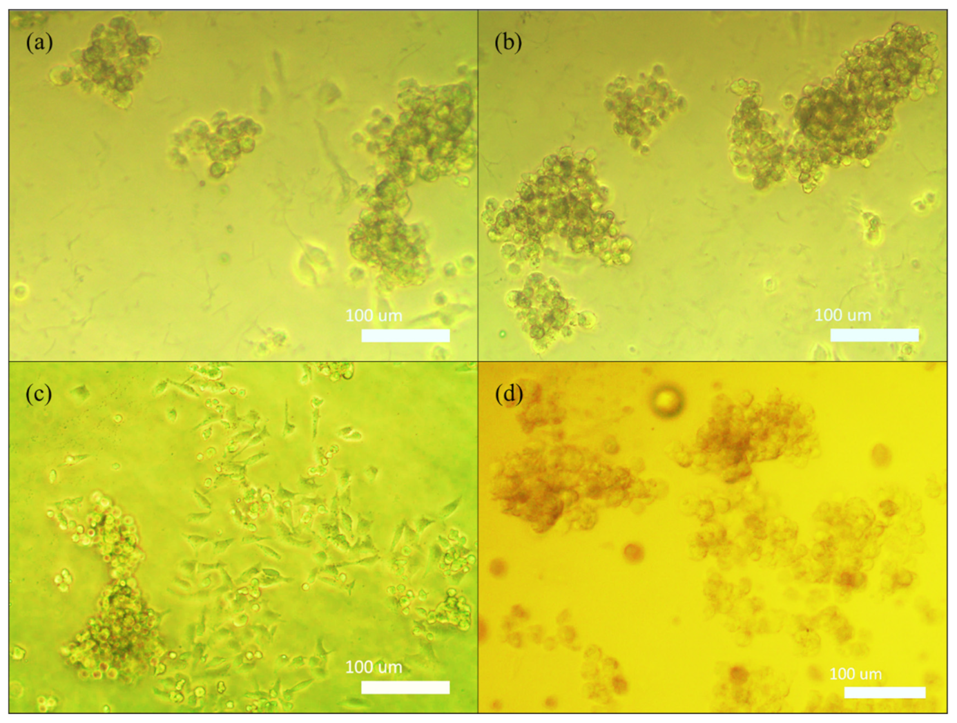 Polymers 14 01021 g012