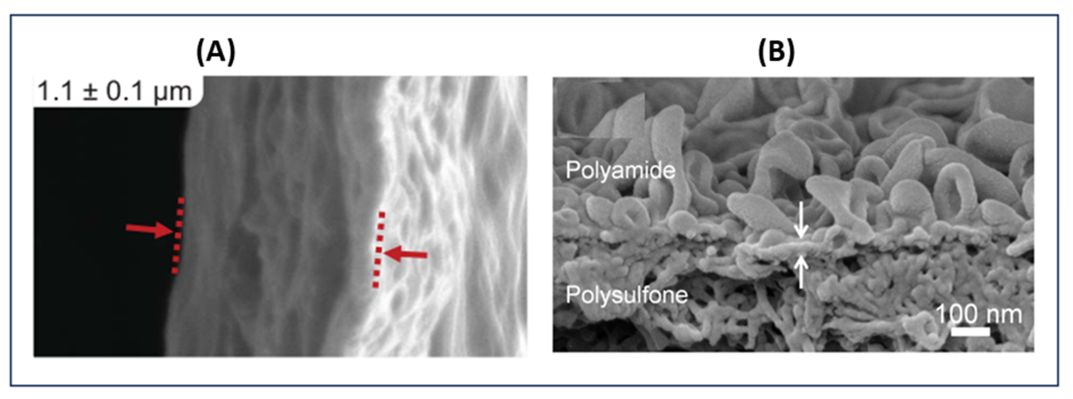 Polymers 14 01023 g005