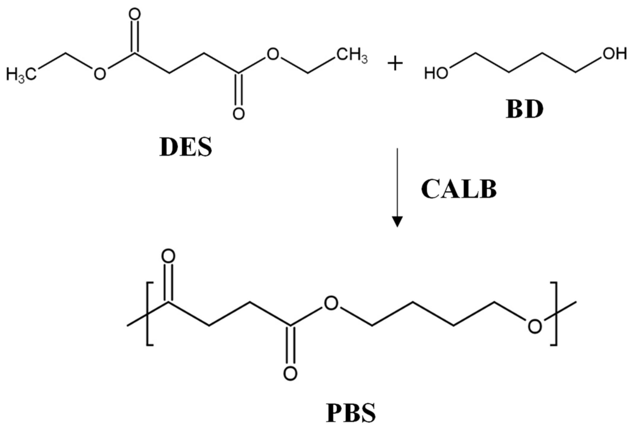 Polymers 14 01025 sch003