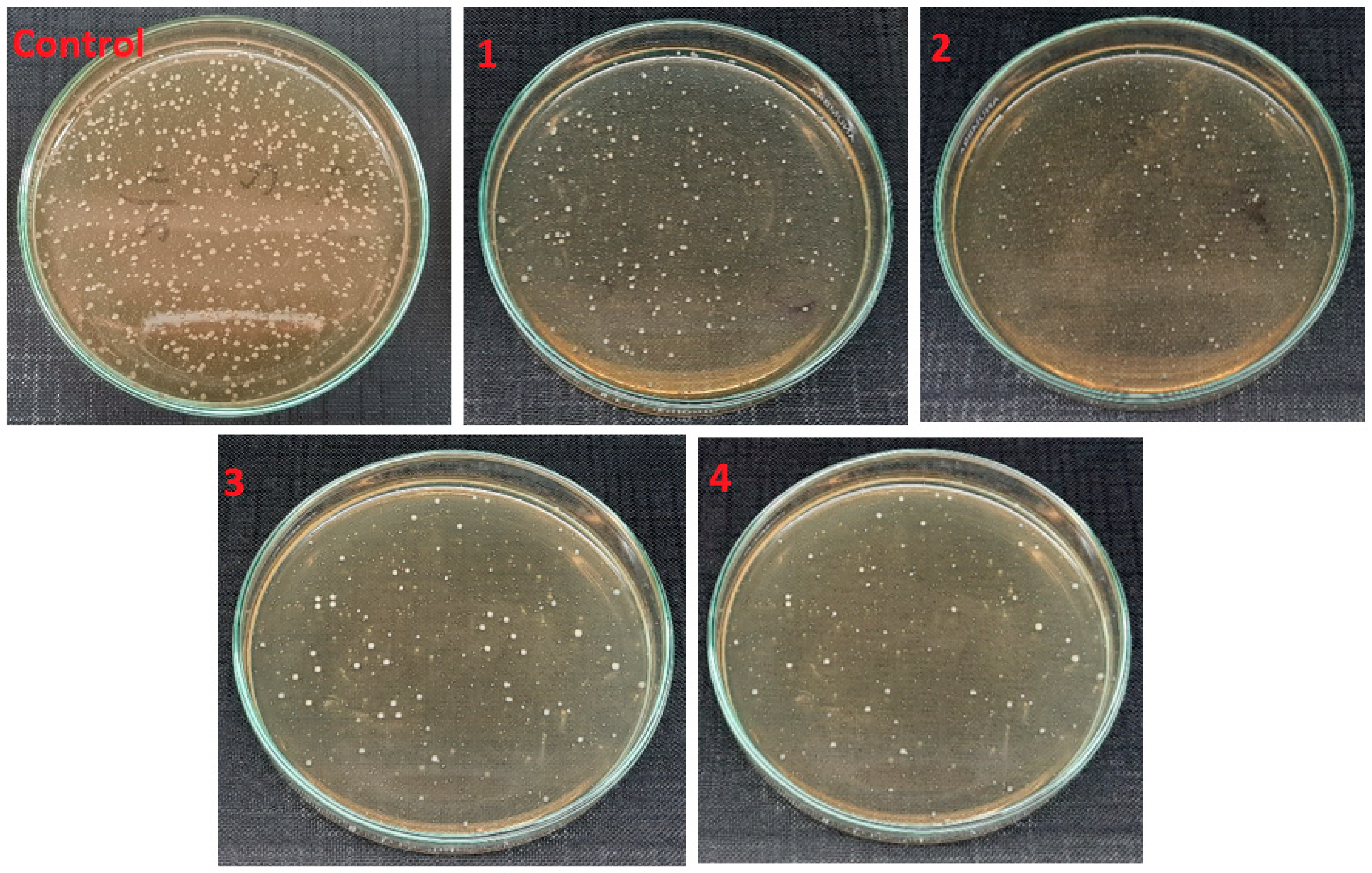 Polymers 14 01029 g009 550