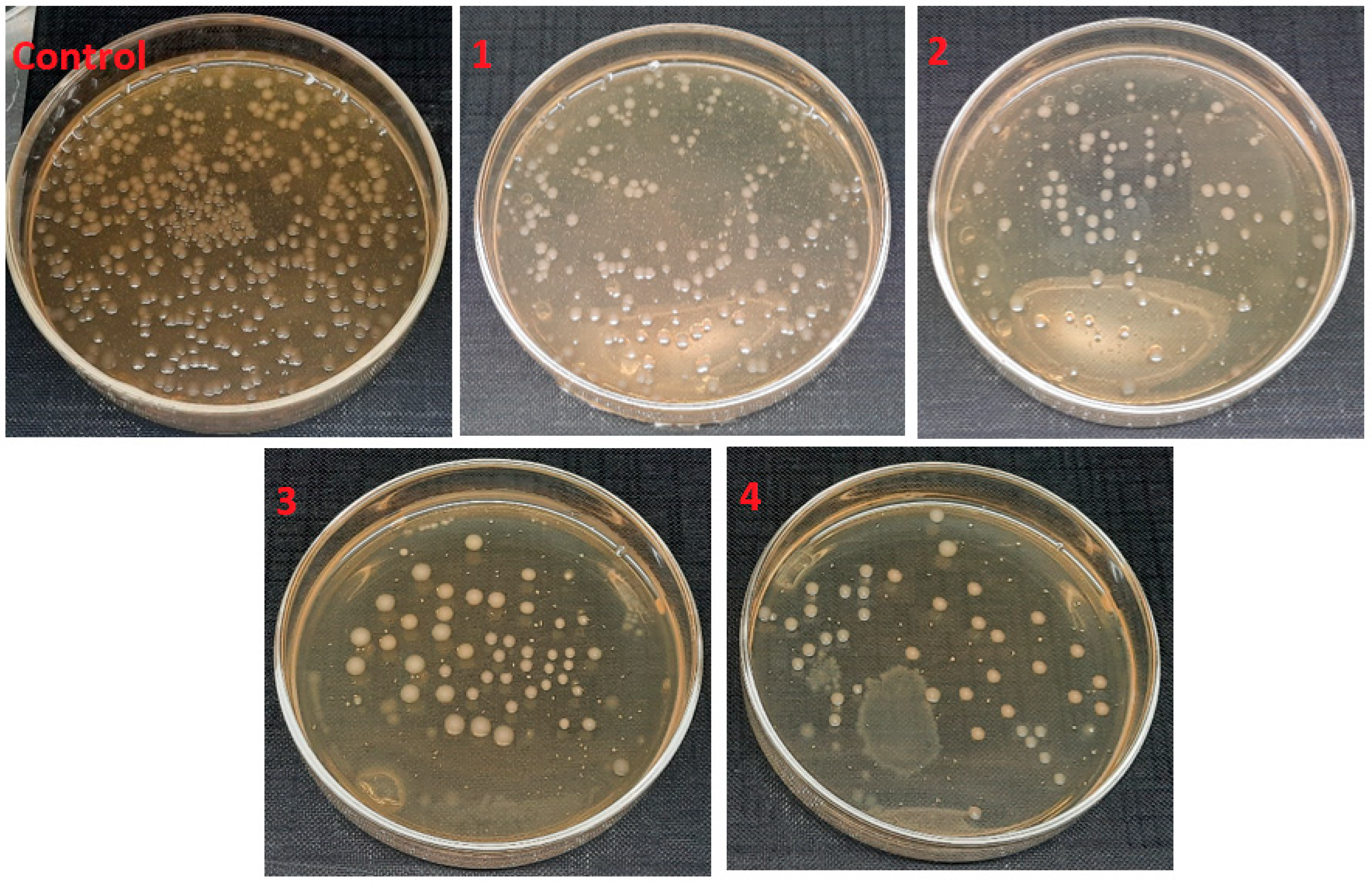 Polymers 14 01029 g010 550