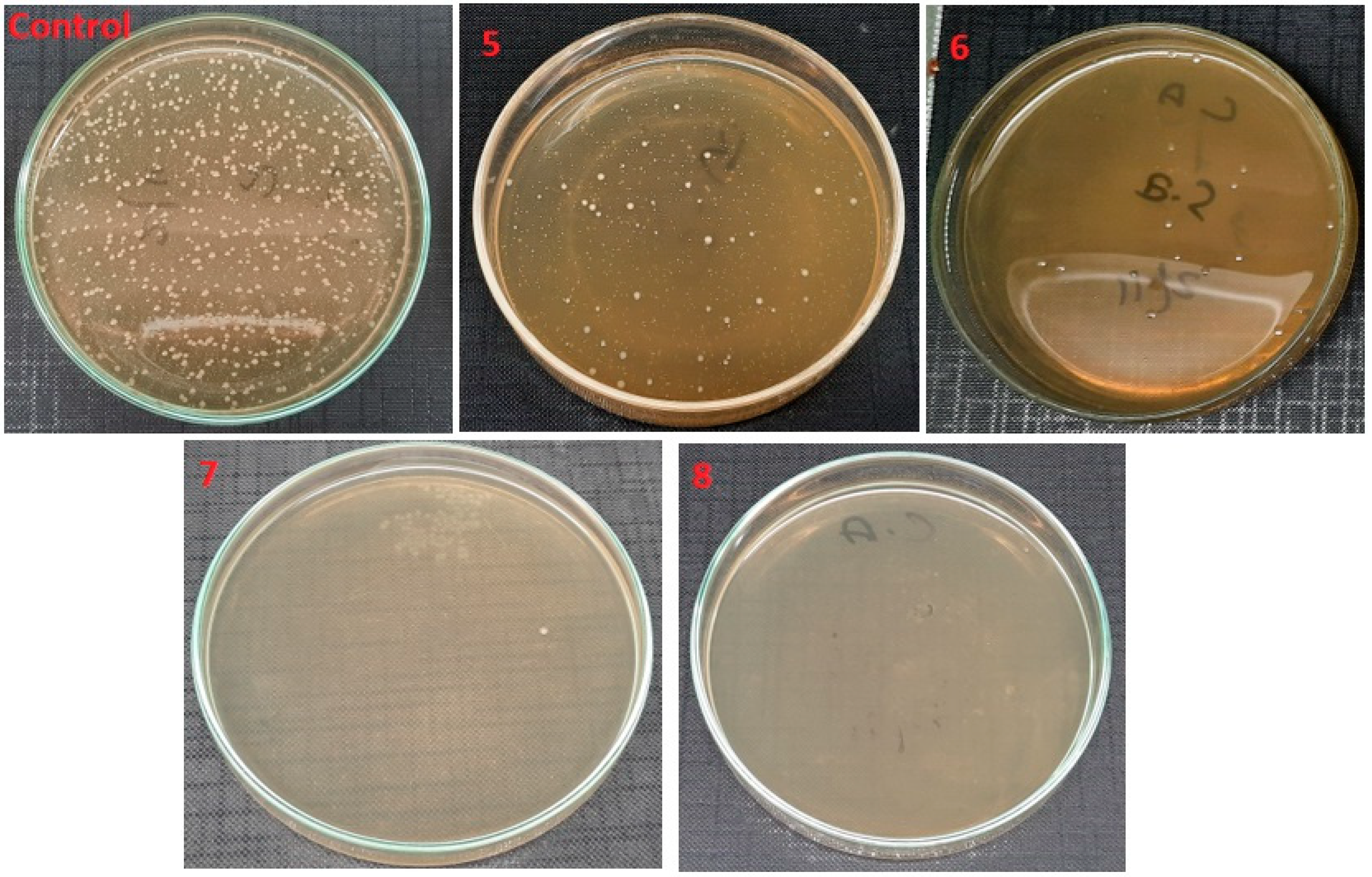 Polymers 14 01029 g011 550