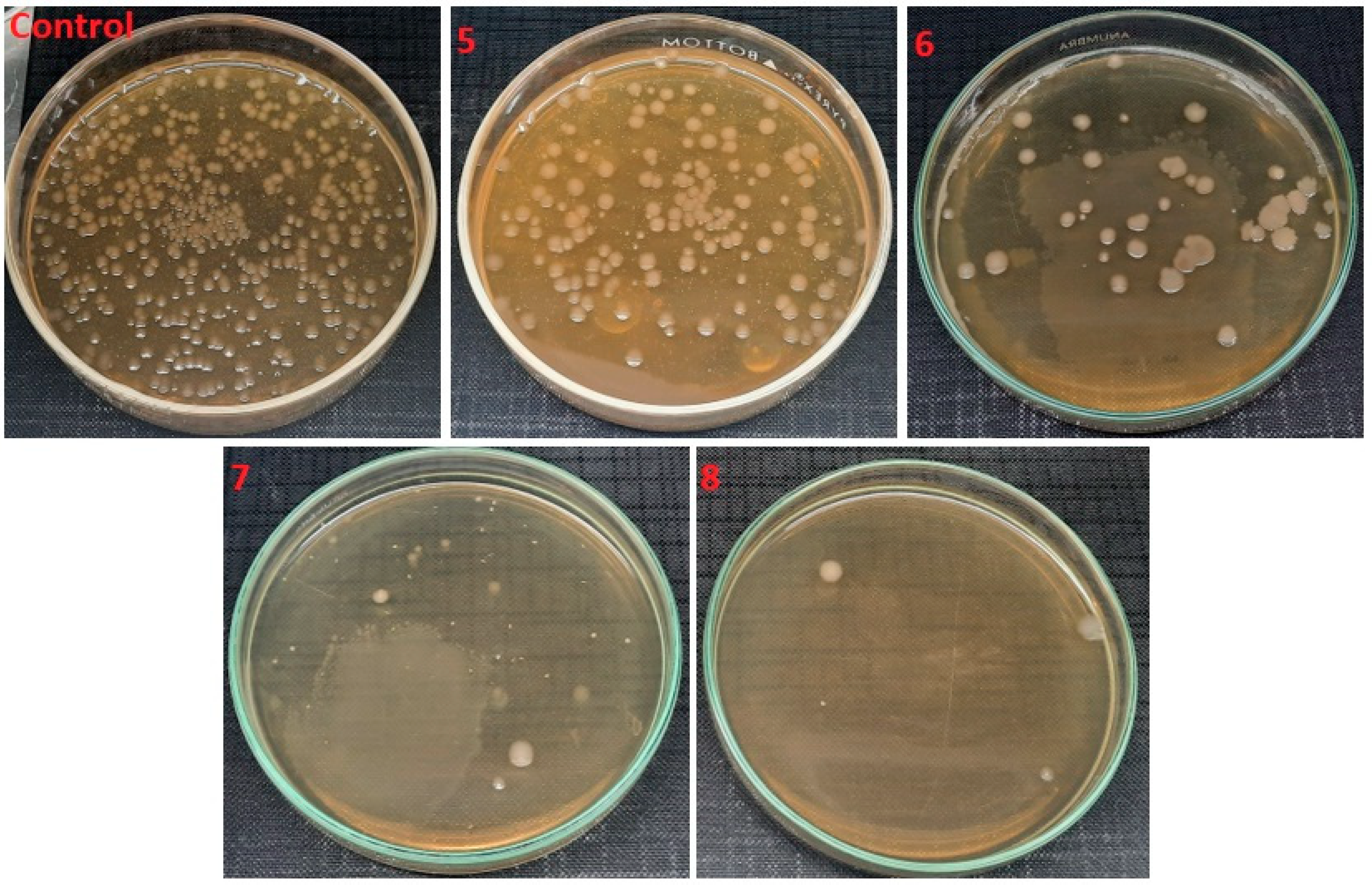 Polymers 14 01029 g012 550