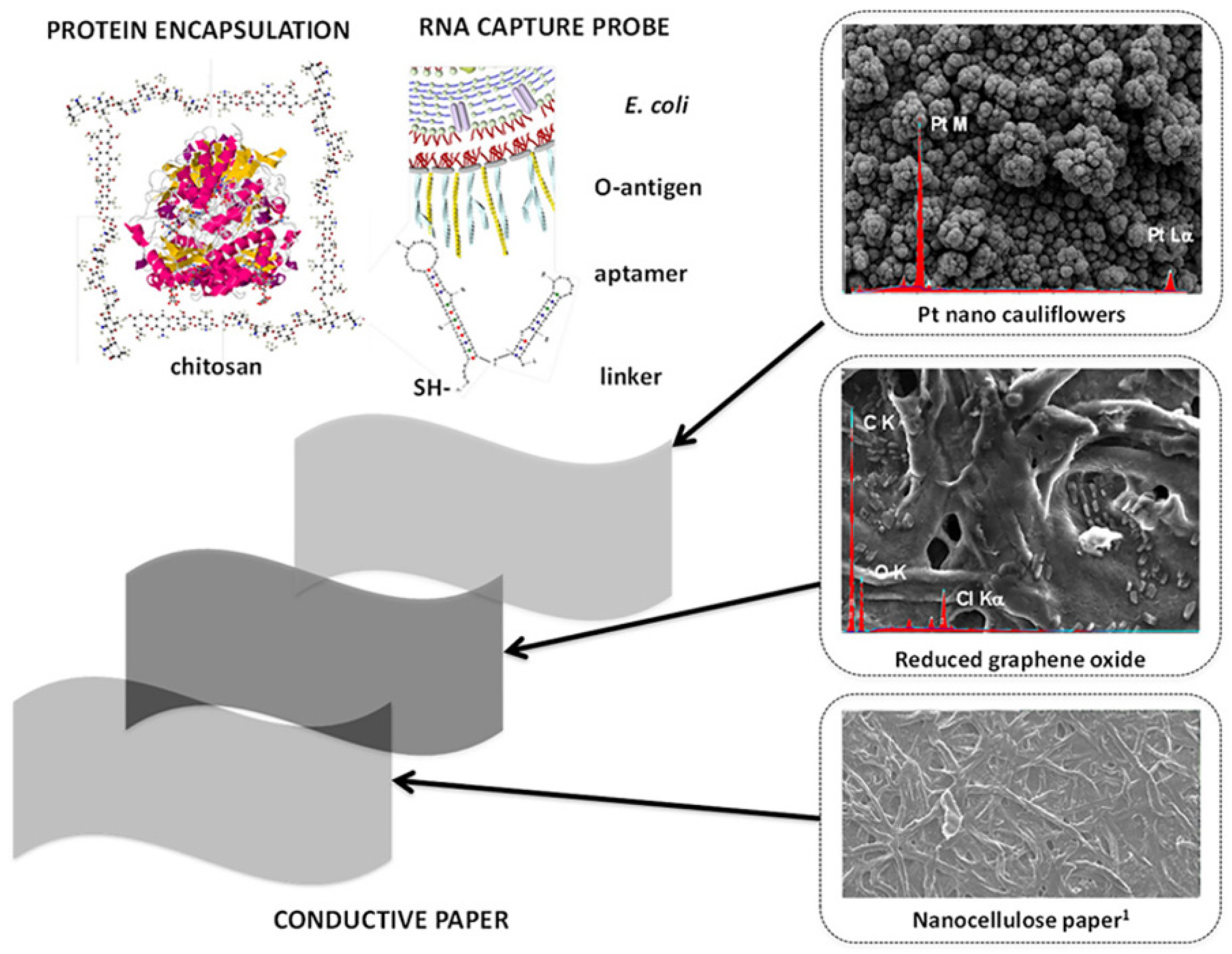 Polymers 14 01030 g012