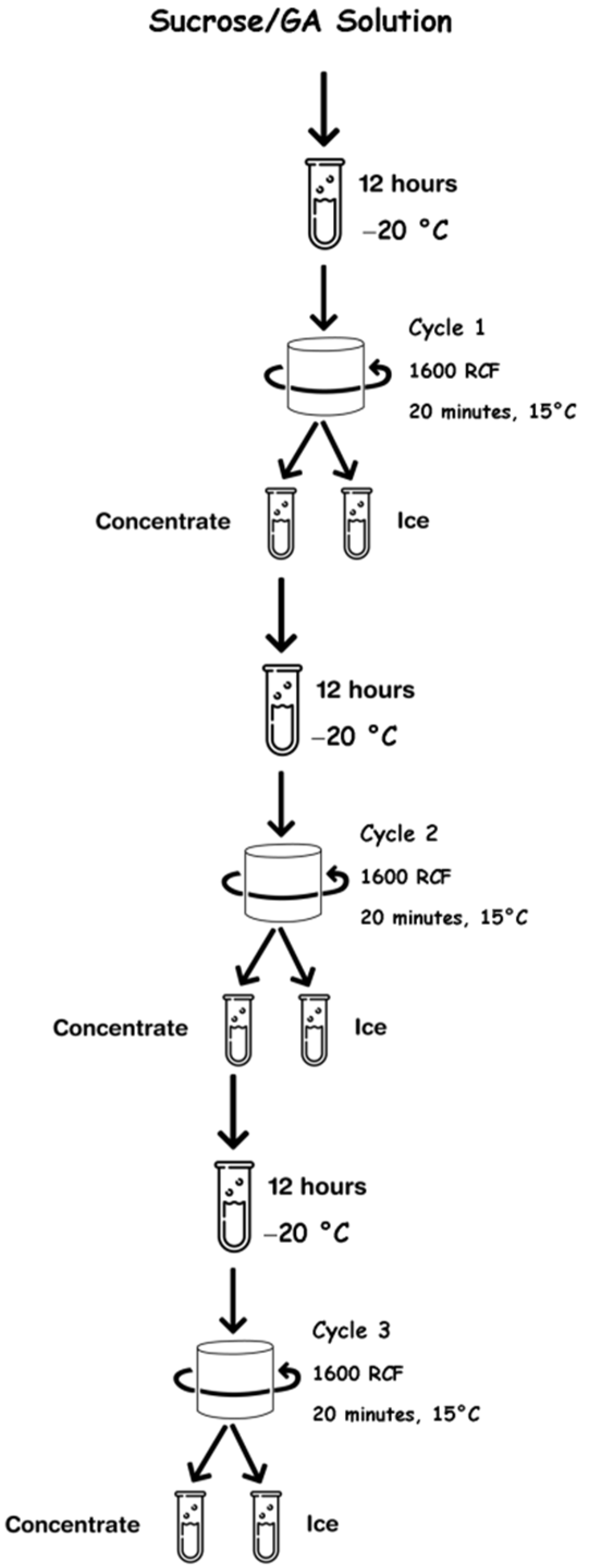 Polymers 14 01031 g001