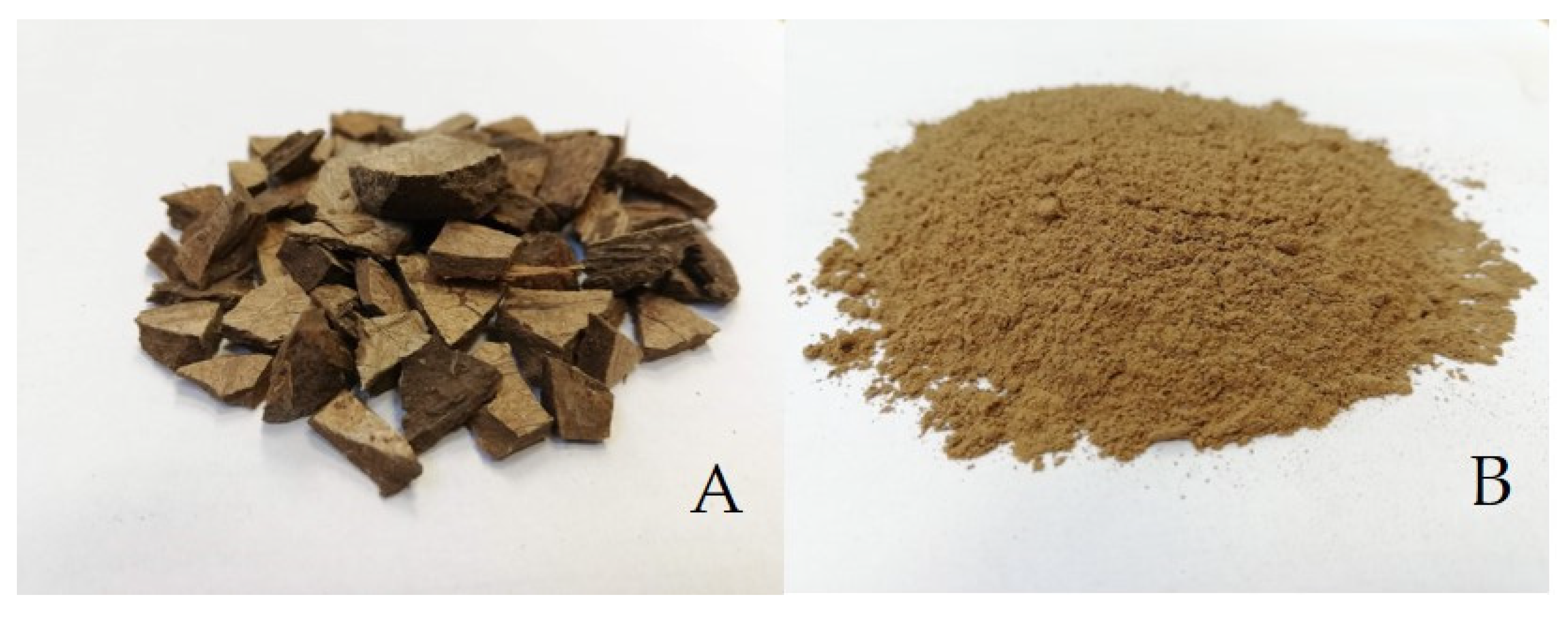 Polymers 14 01033 g001