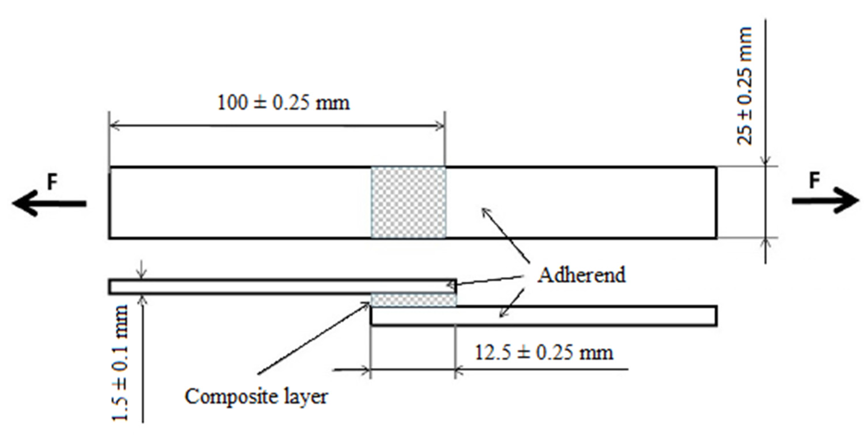 Polymers 14 01033 g003