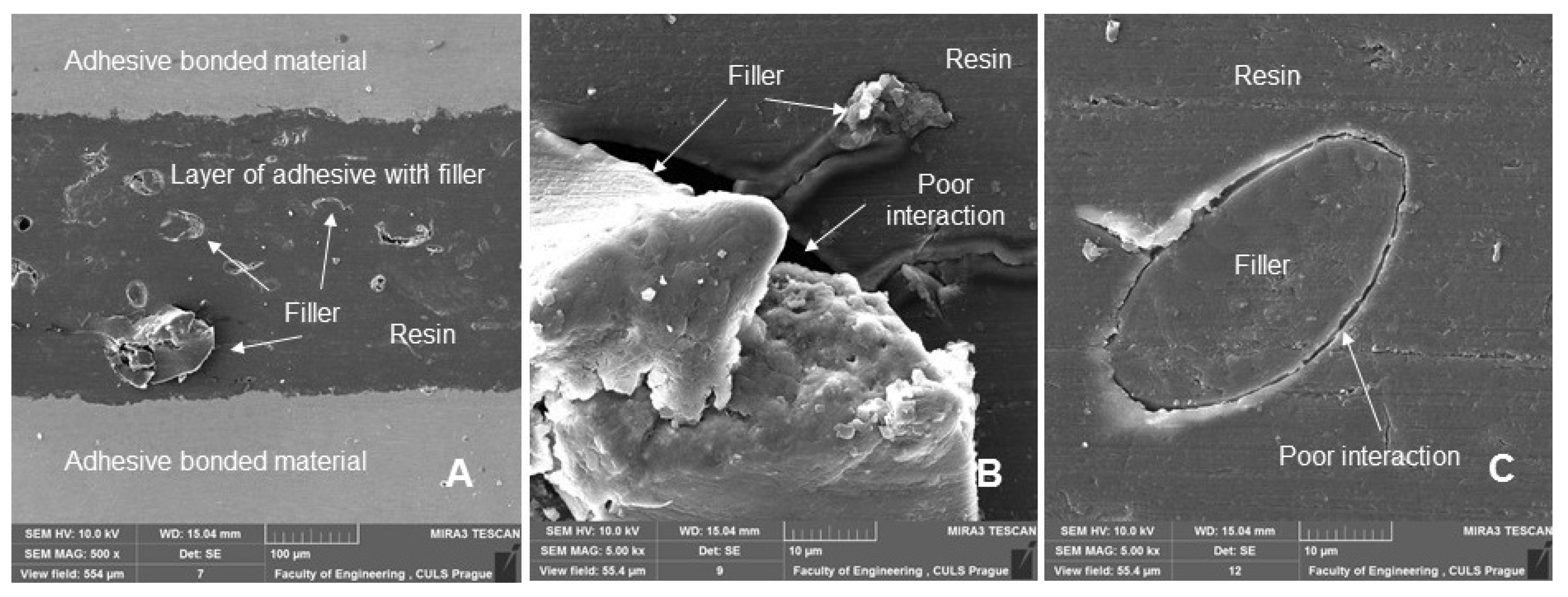 Polymers 14 01033 g013