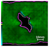 Polymers 14 01034 i011