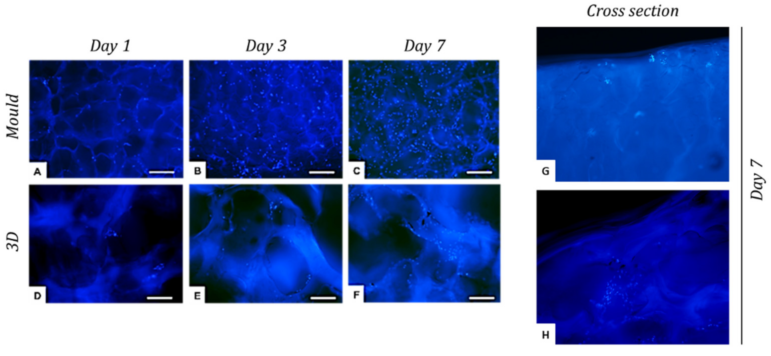 Polymers 14 01036 g011