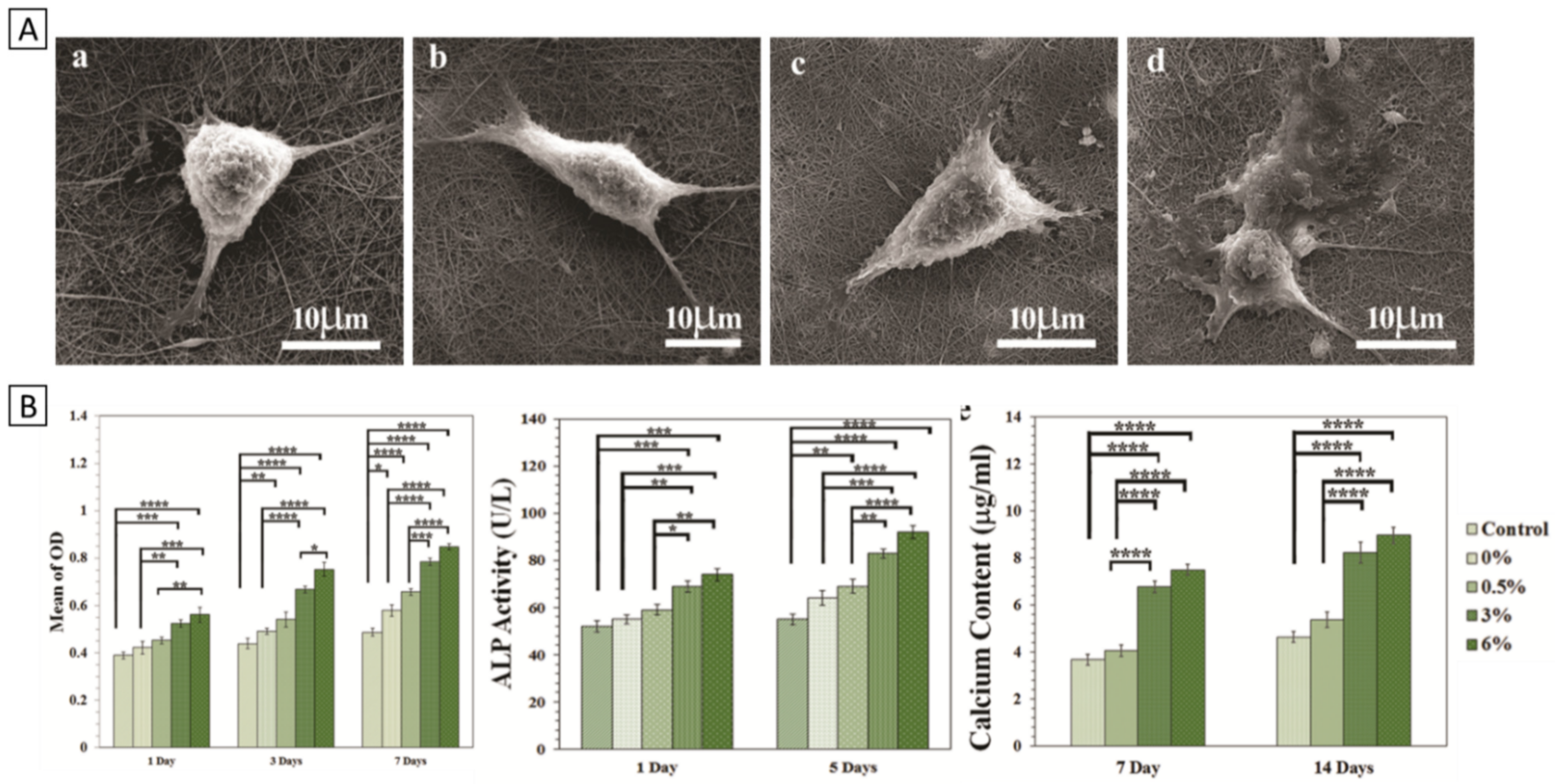 Polymers 14 01038 g006 550