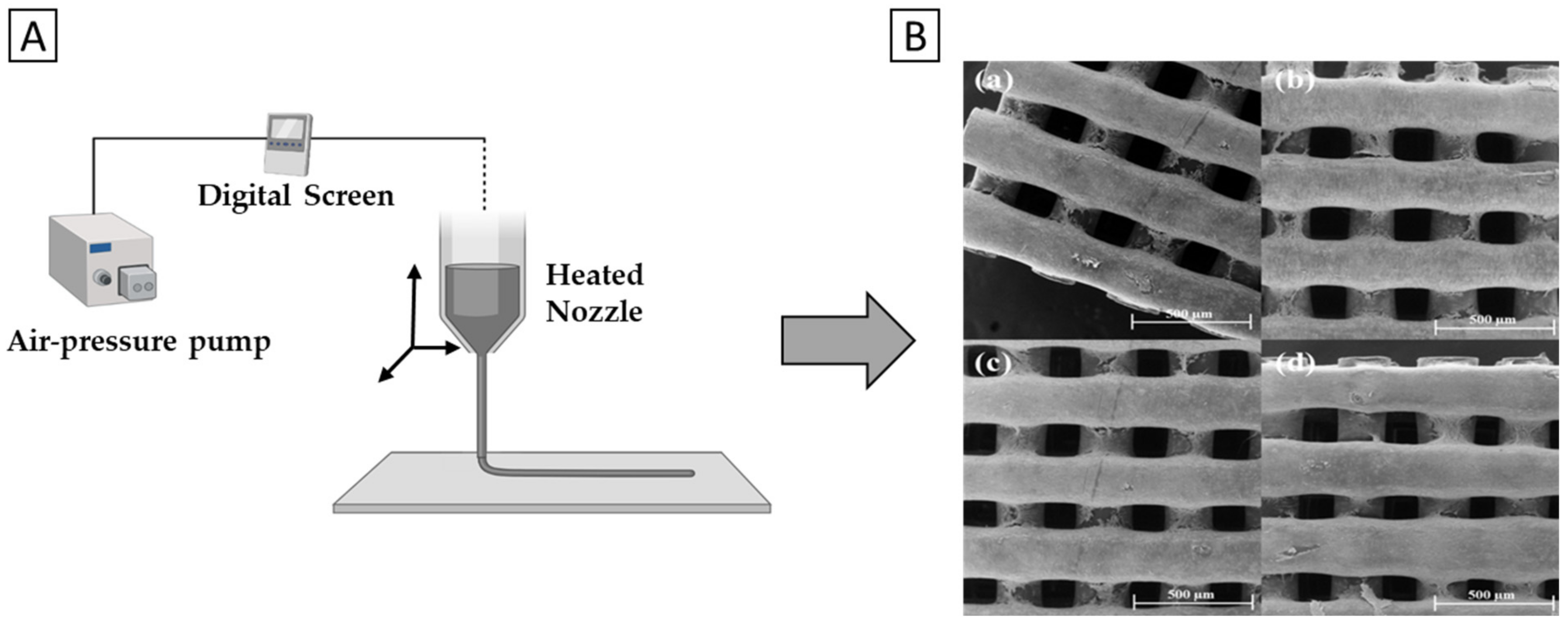 Polymers 14 01038 g007 550