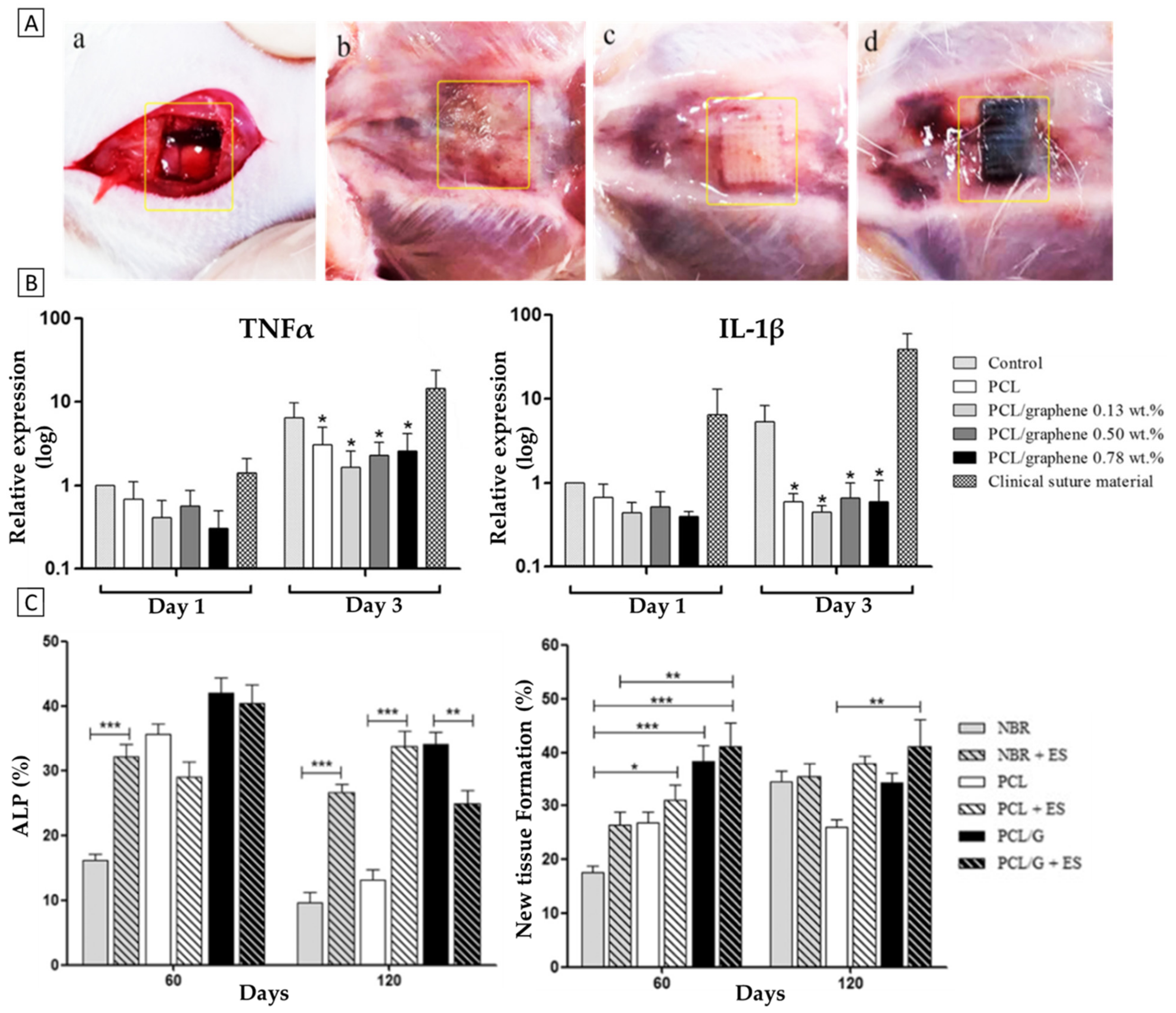 Polymers 14 01038 g008 550