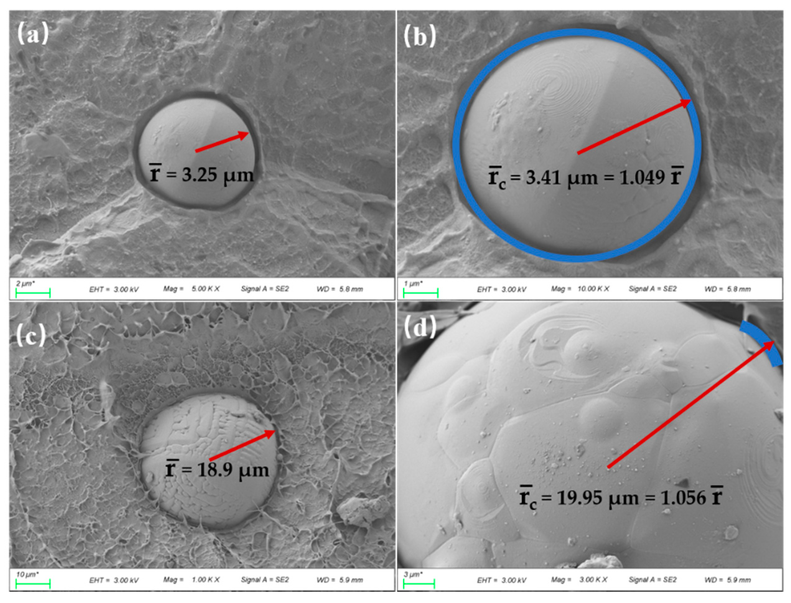 Polymers 14 01040 g001 550