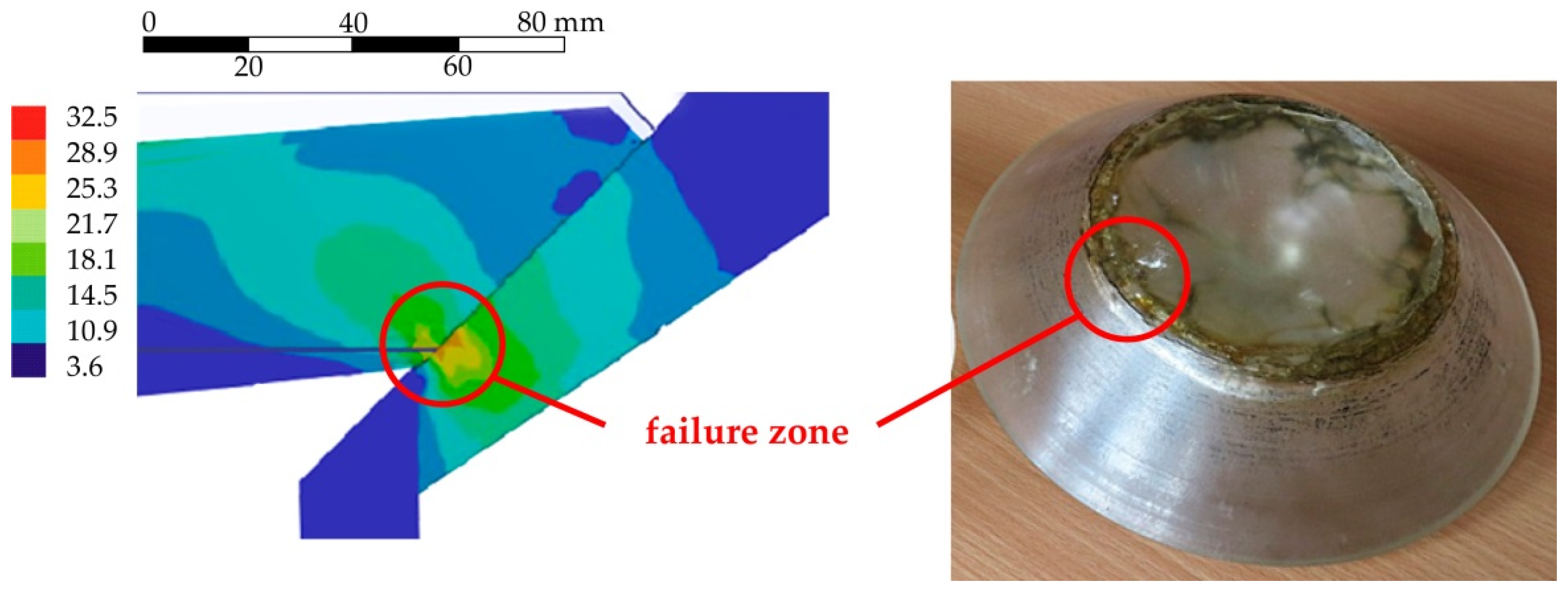 Polymers 14 01041 g009