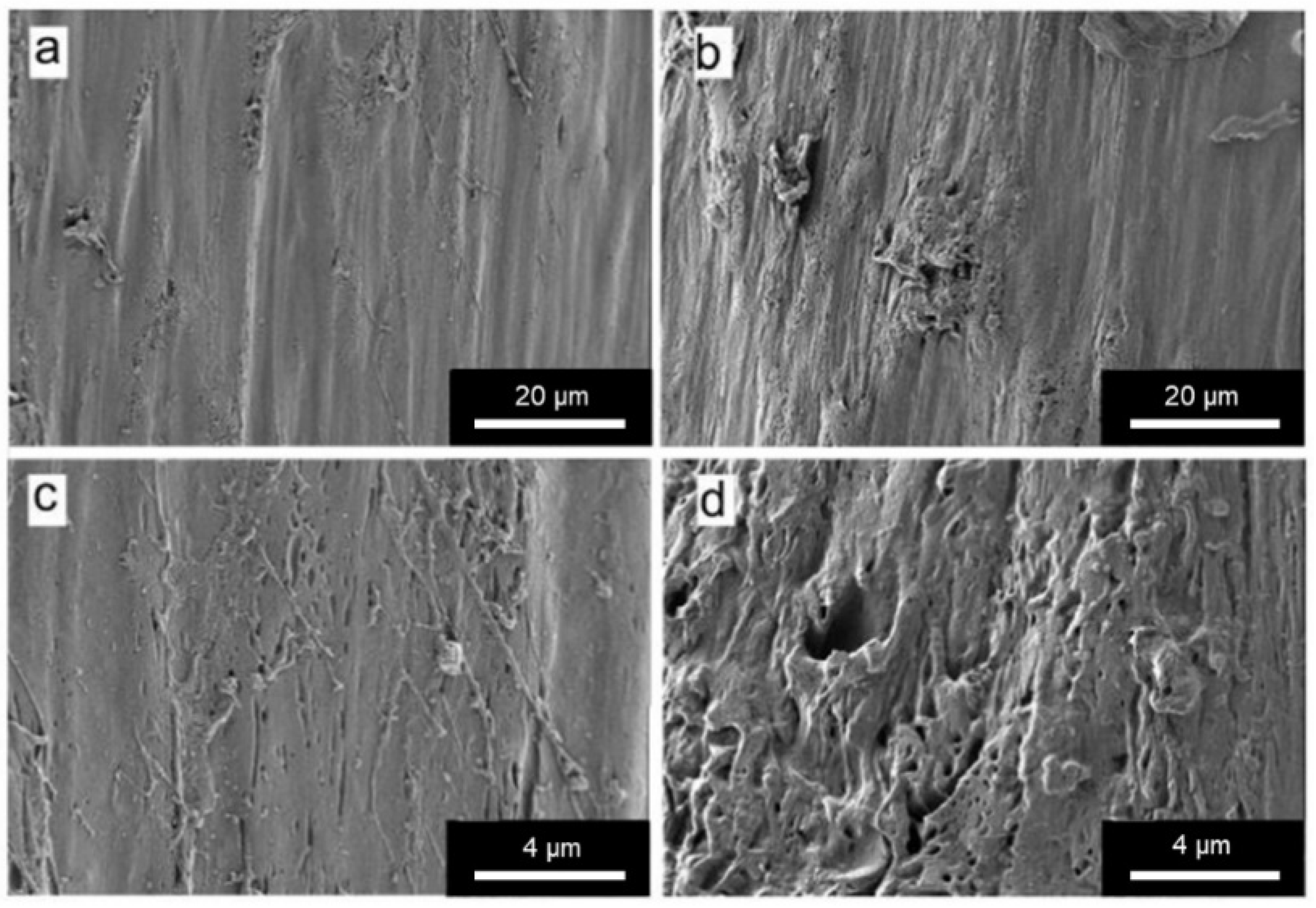 Polymers 14 01044 g006