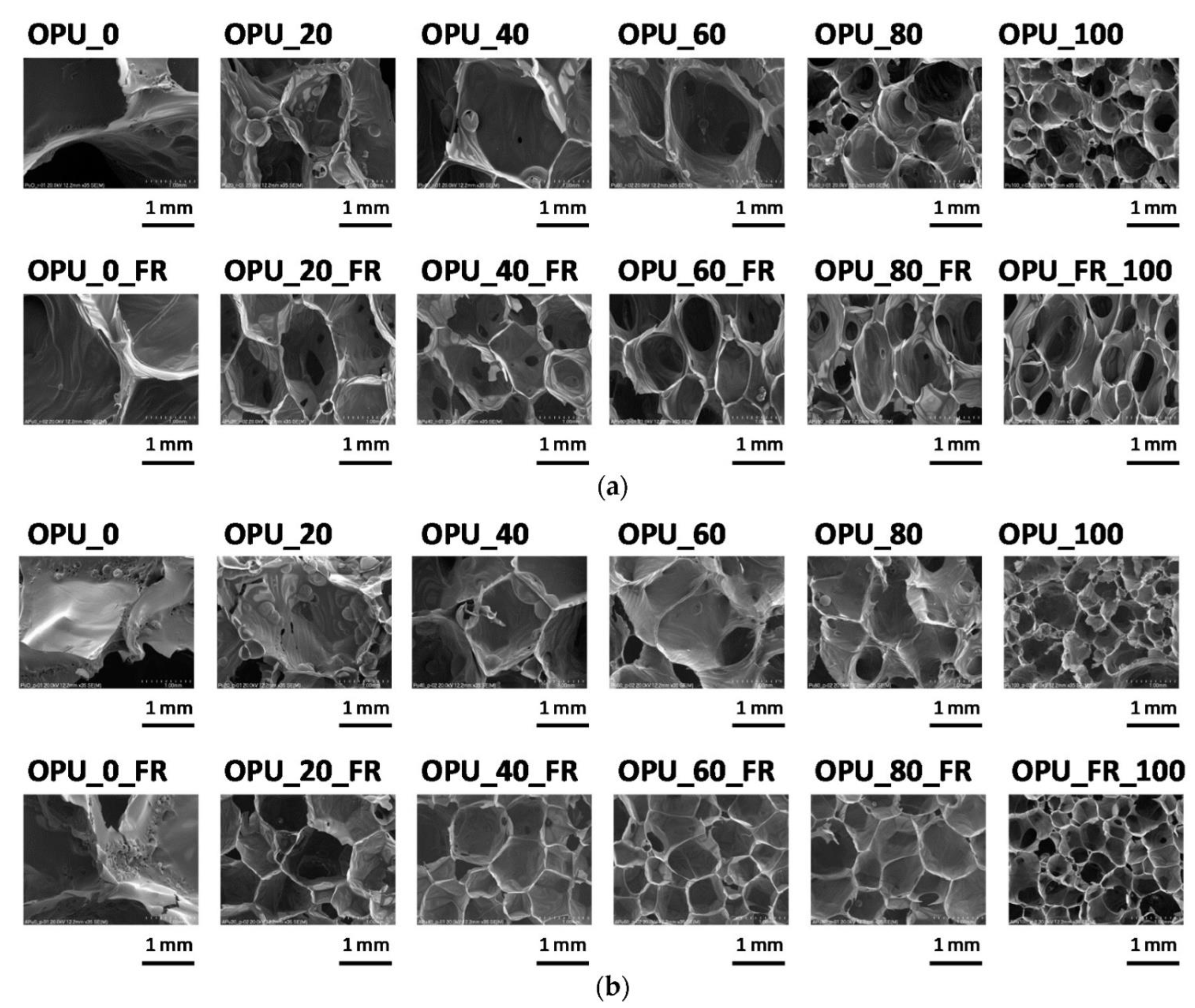 Polymers 14 01050 g003 Polymers 14 01050 g003