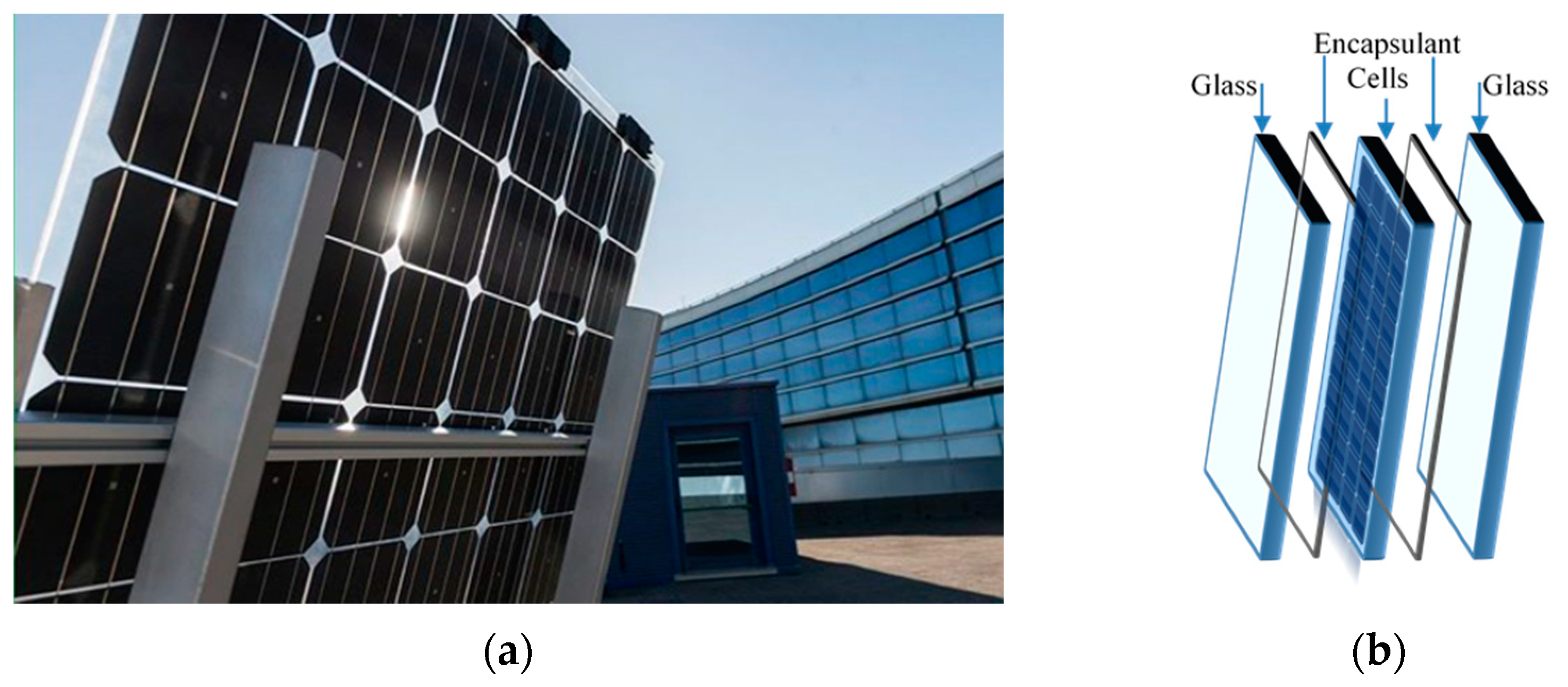 Polymers 14 01052 g001