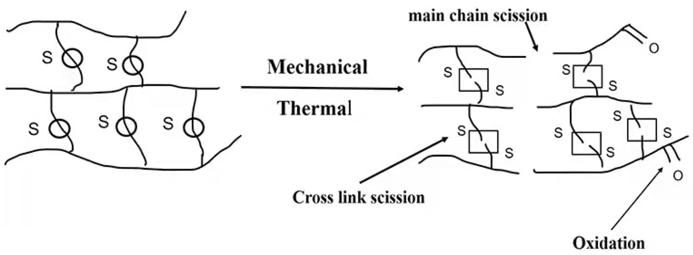 Polymers 14 01057 g013 550
