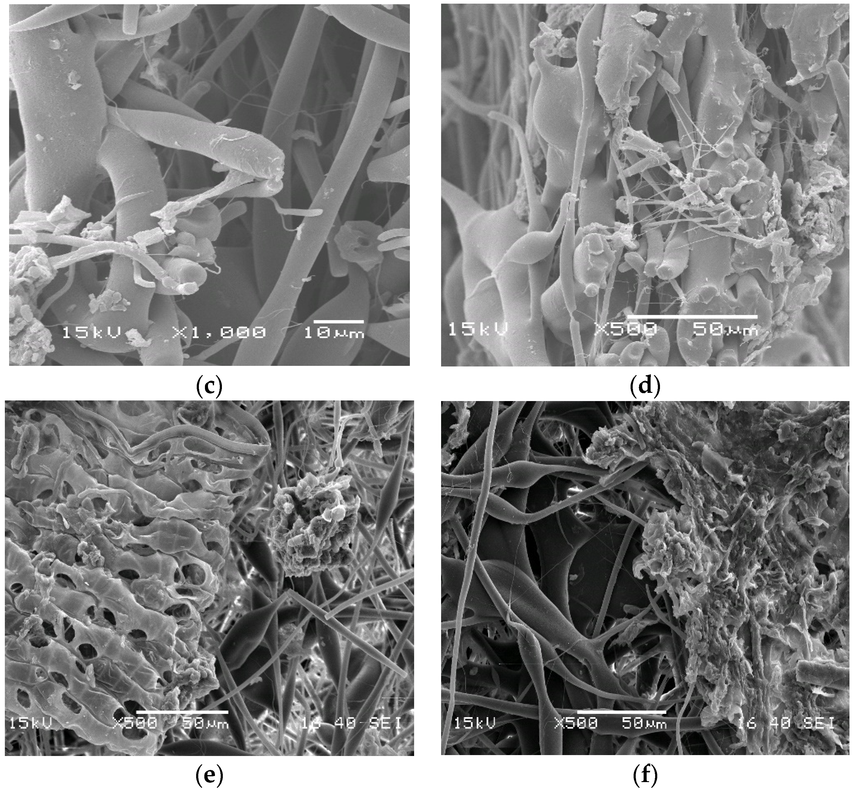 Polymers 14 01058 g002b