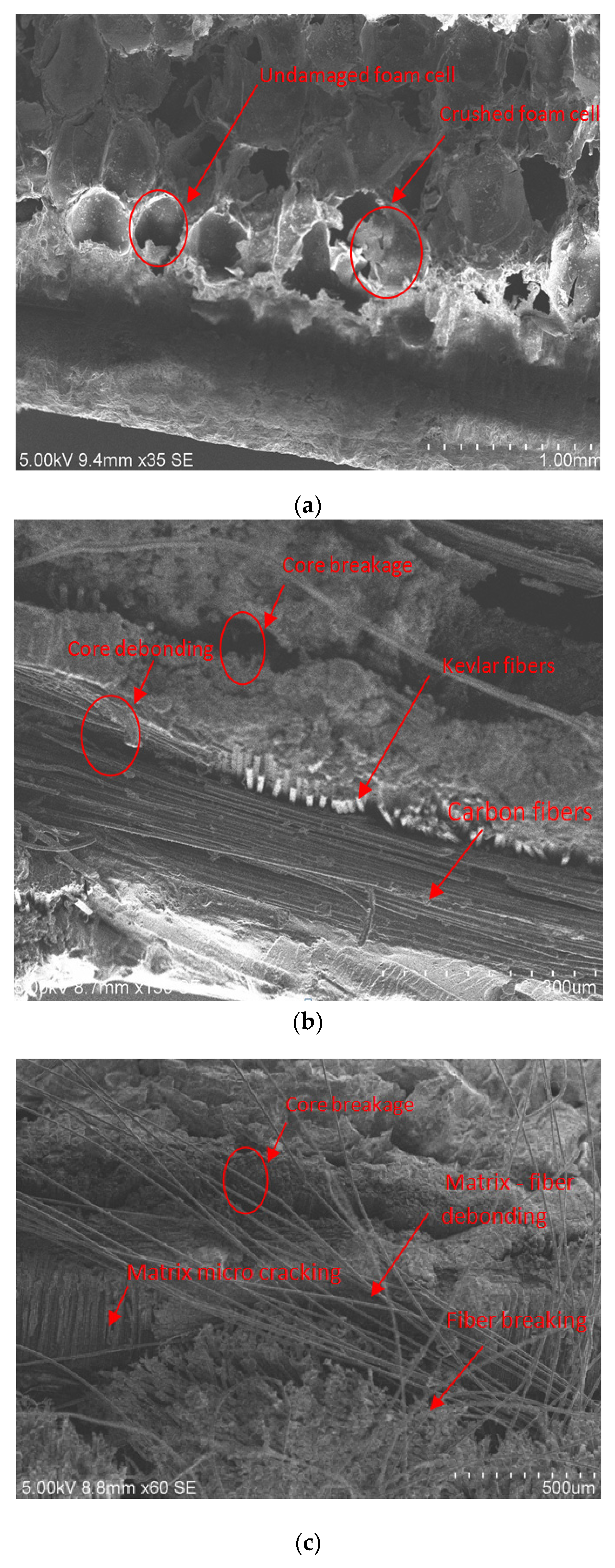 Polymers 14 01060 g037a Polymers 14 01060 g037a