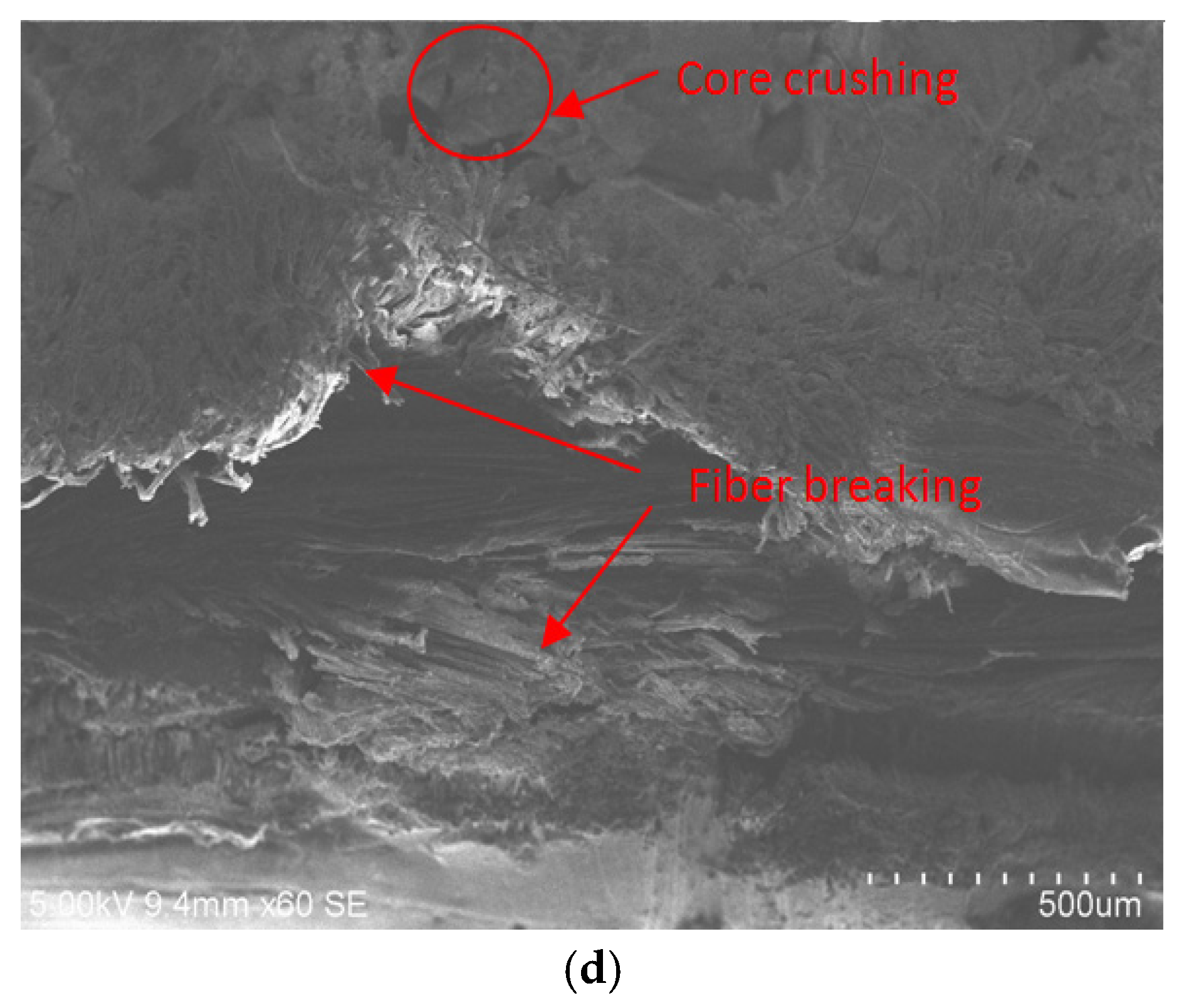 Polymers 14 01060 g037b Polymers 14 01060 g037b