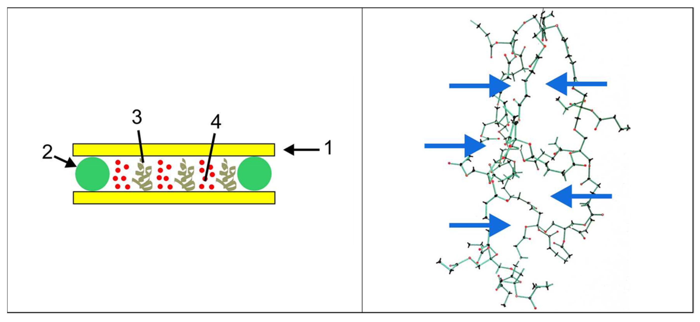 Polymers 14 01061 g002 Polymers 14 01061 g002