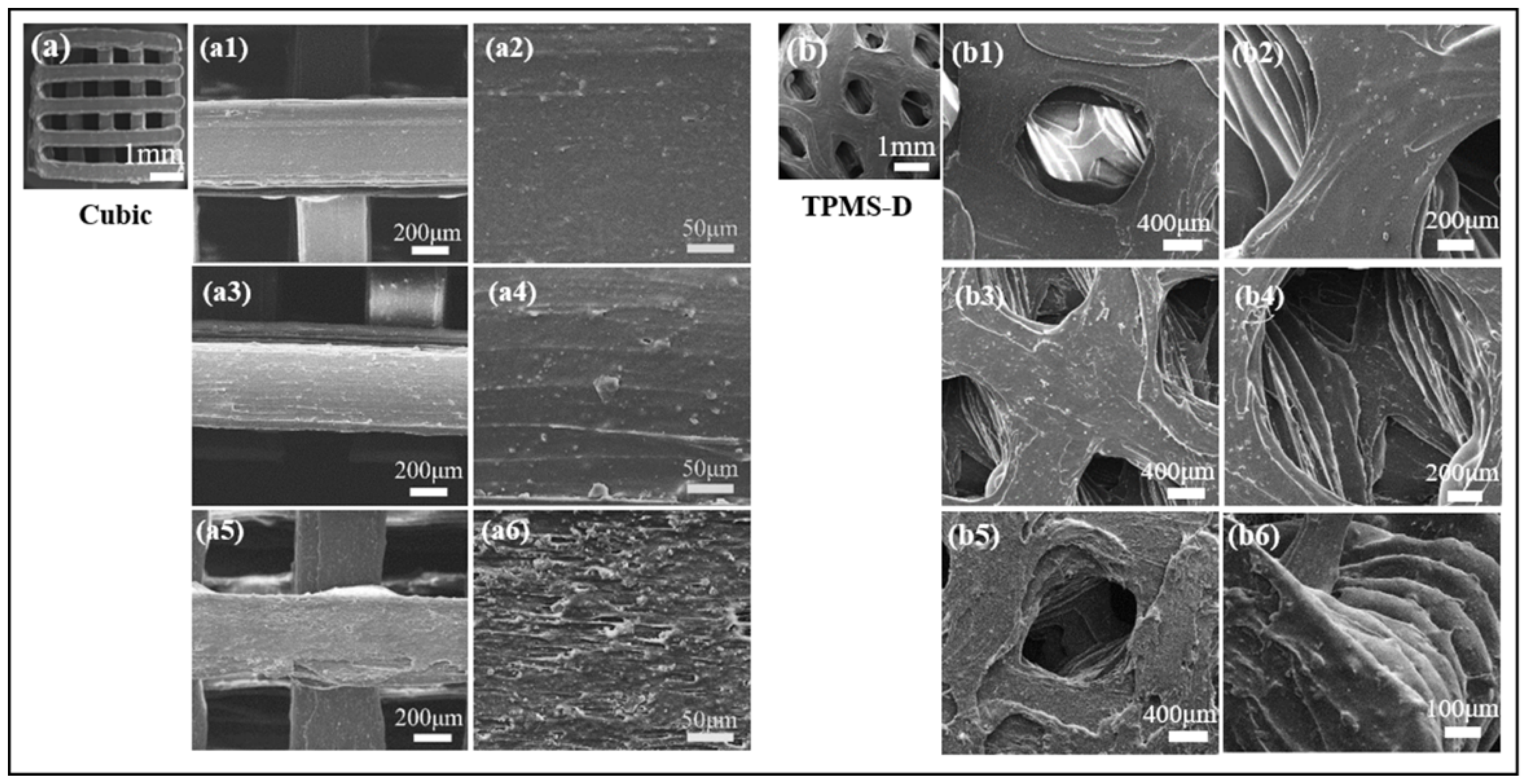 Polymers 14 01062 g007