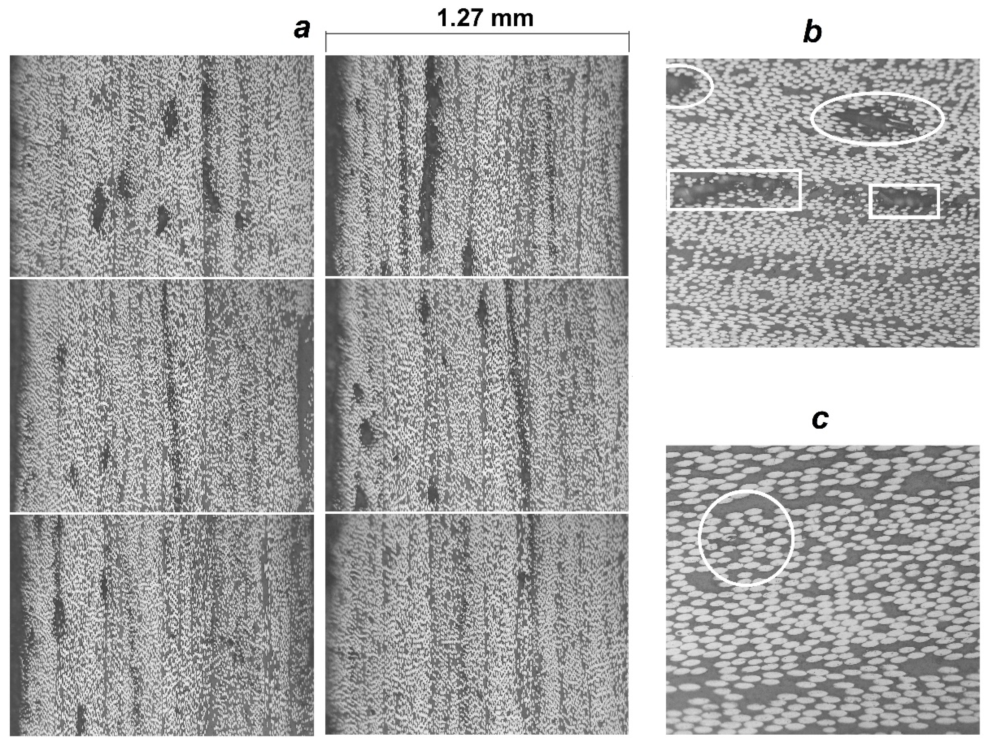 Polymers 14 01066 g018