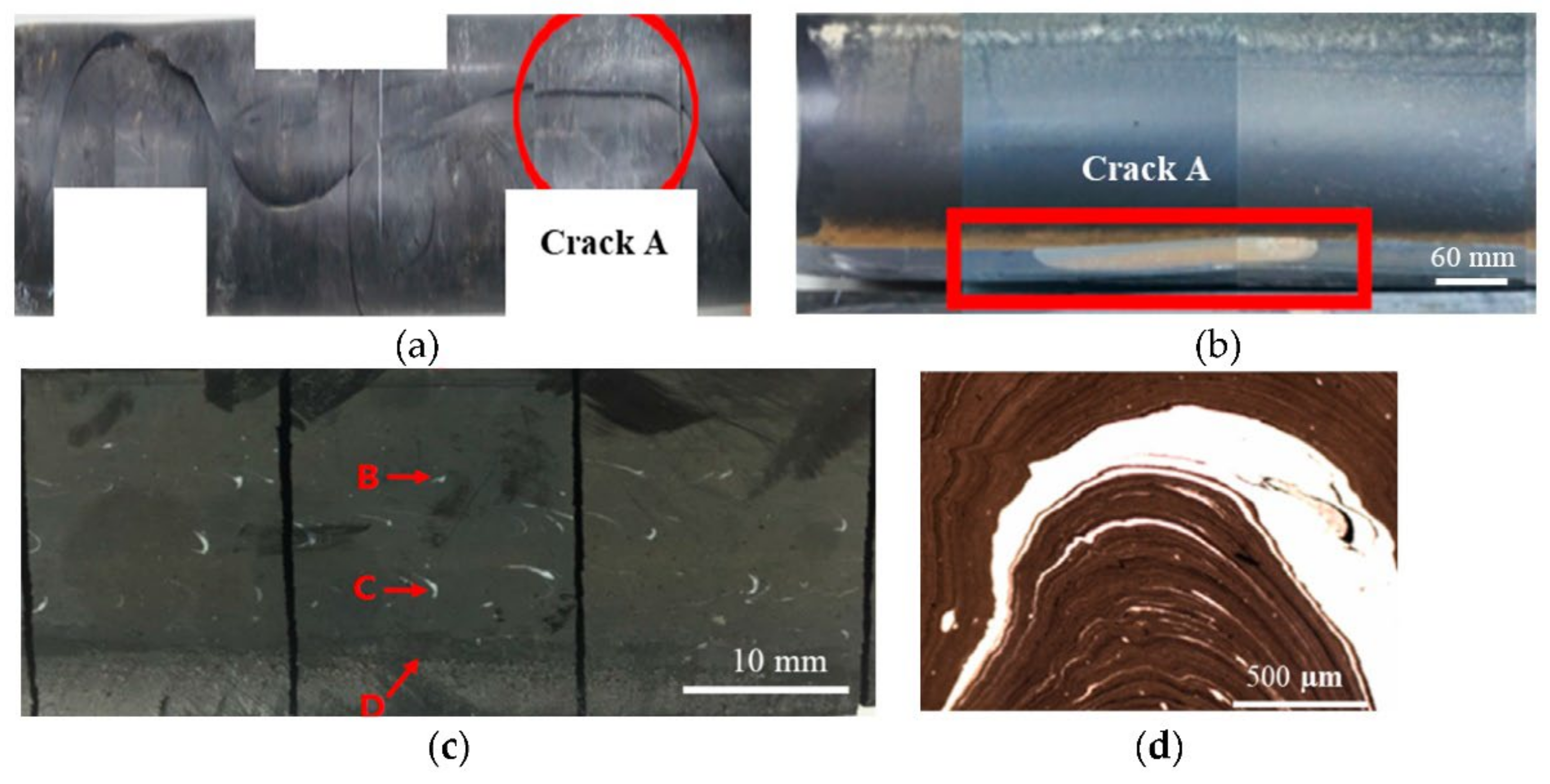 Polymers 14 01067 g018 550