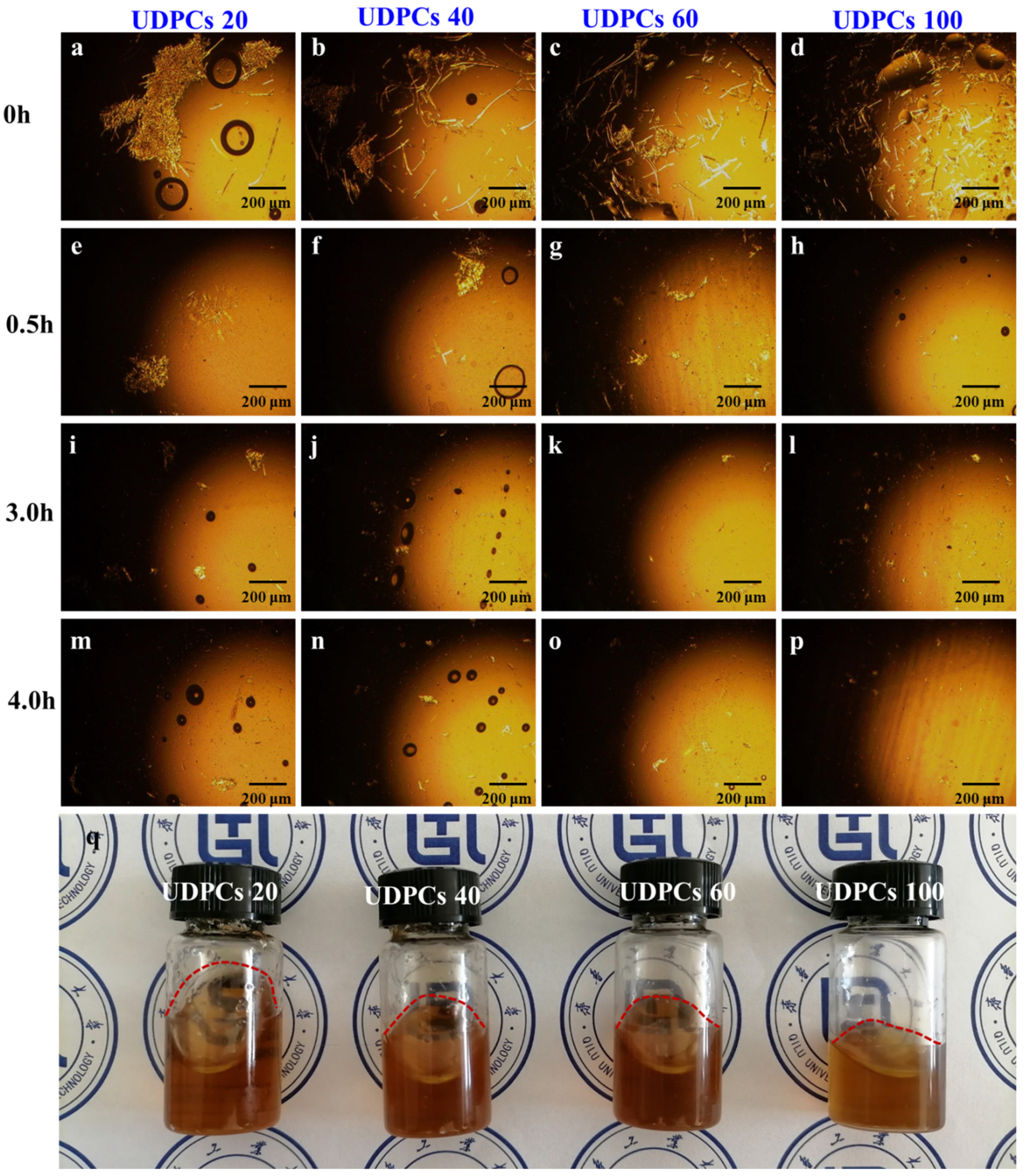 Polymers 14 01070 g002 550