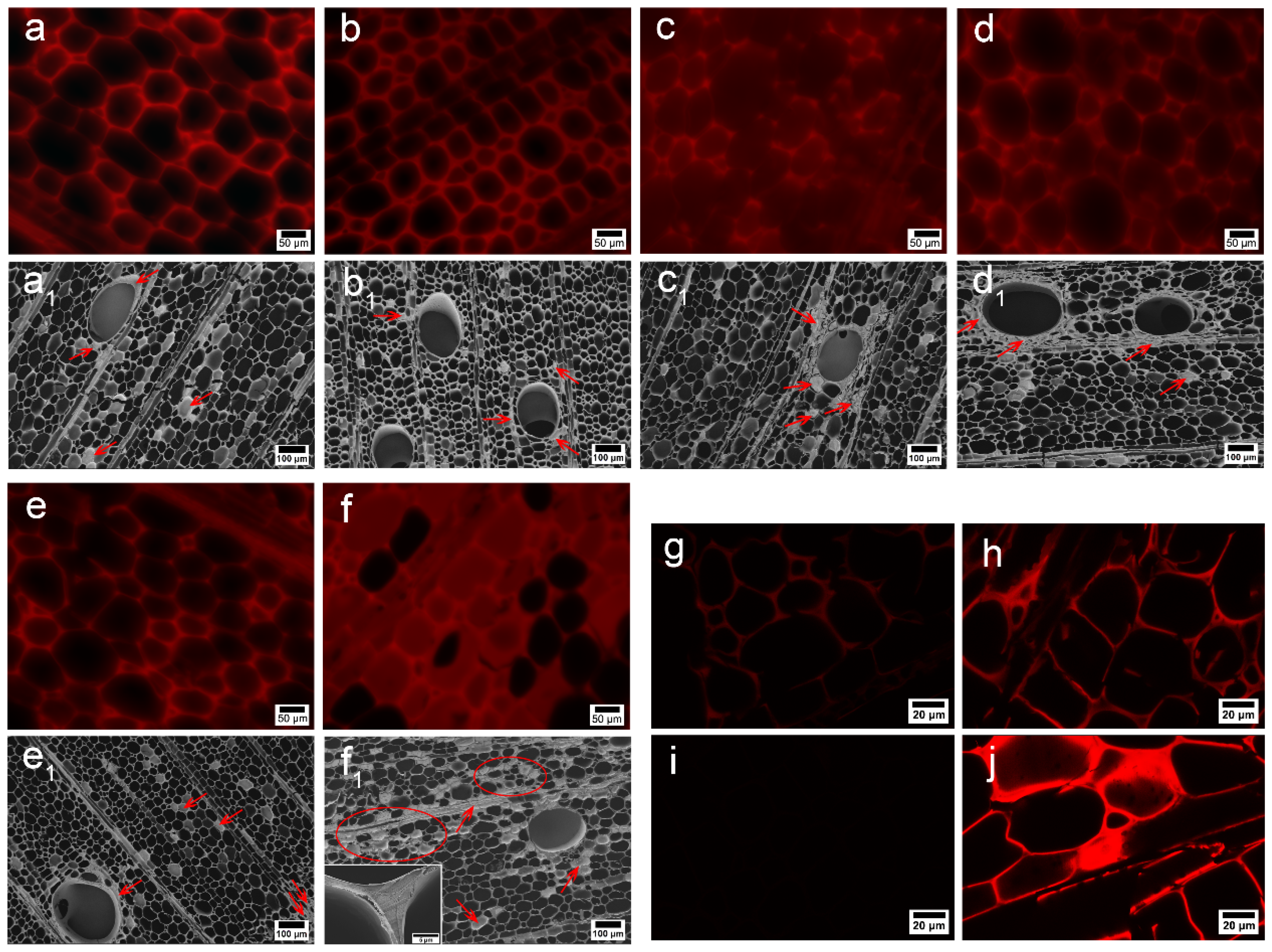 Polymers 14 01071 g001
