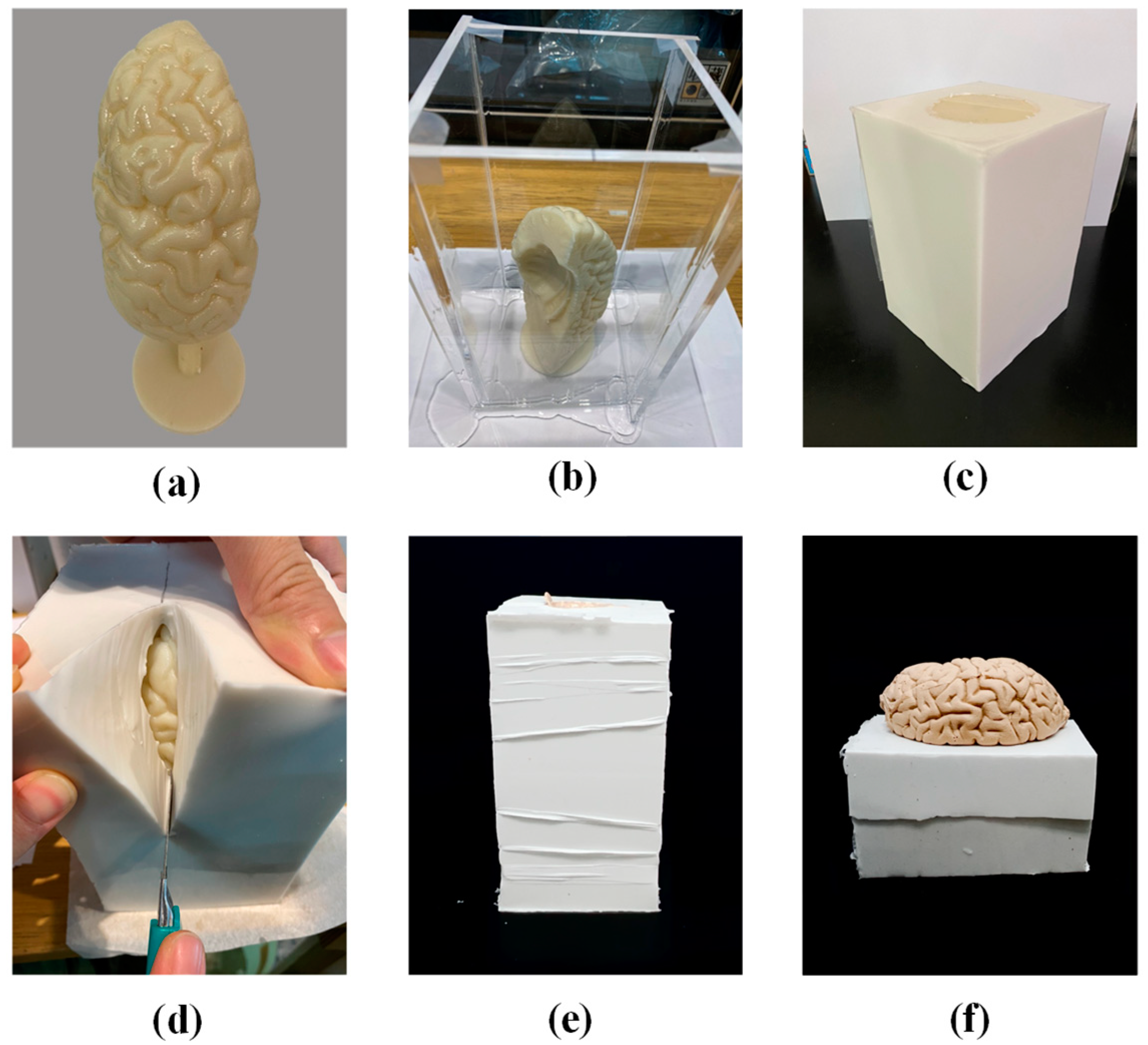Polymers 14 01072 g002