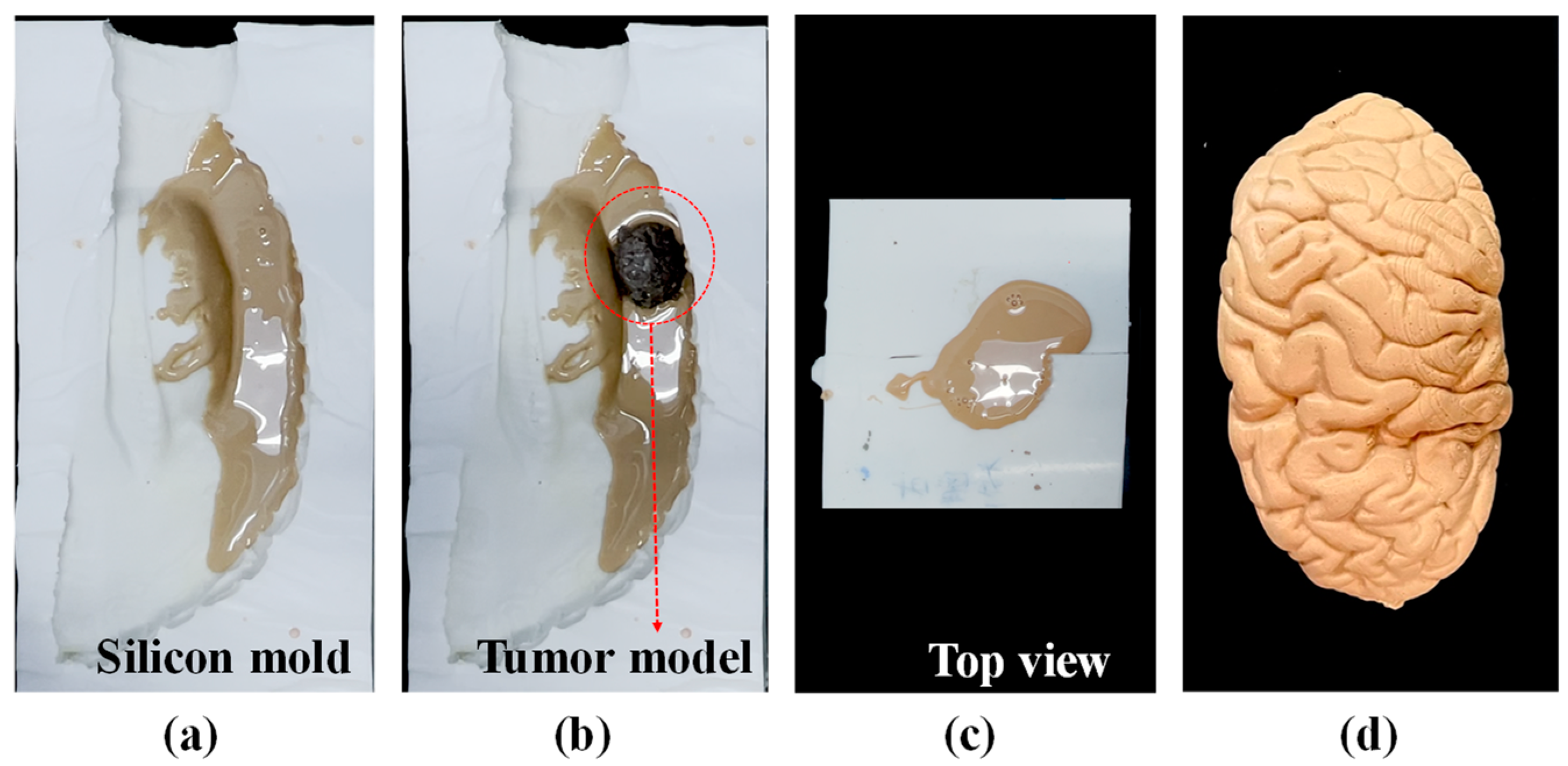 Polymers 14 01072 g003