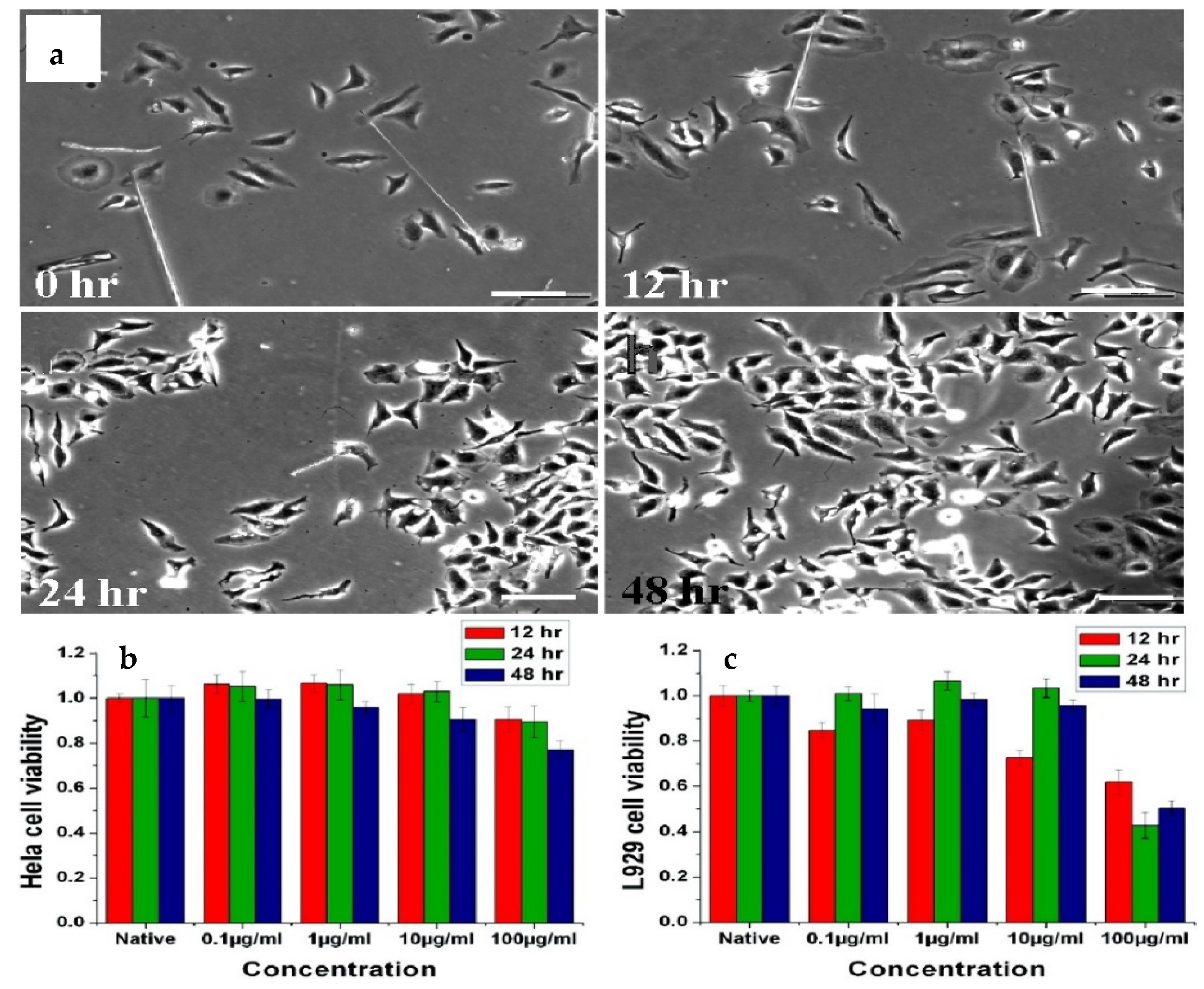Polymers 14 01075 g003 550