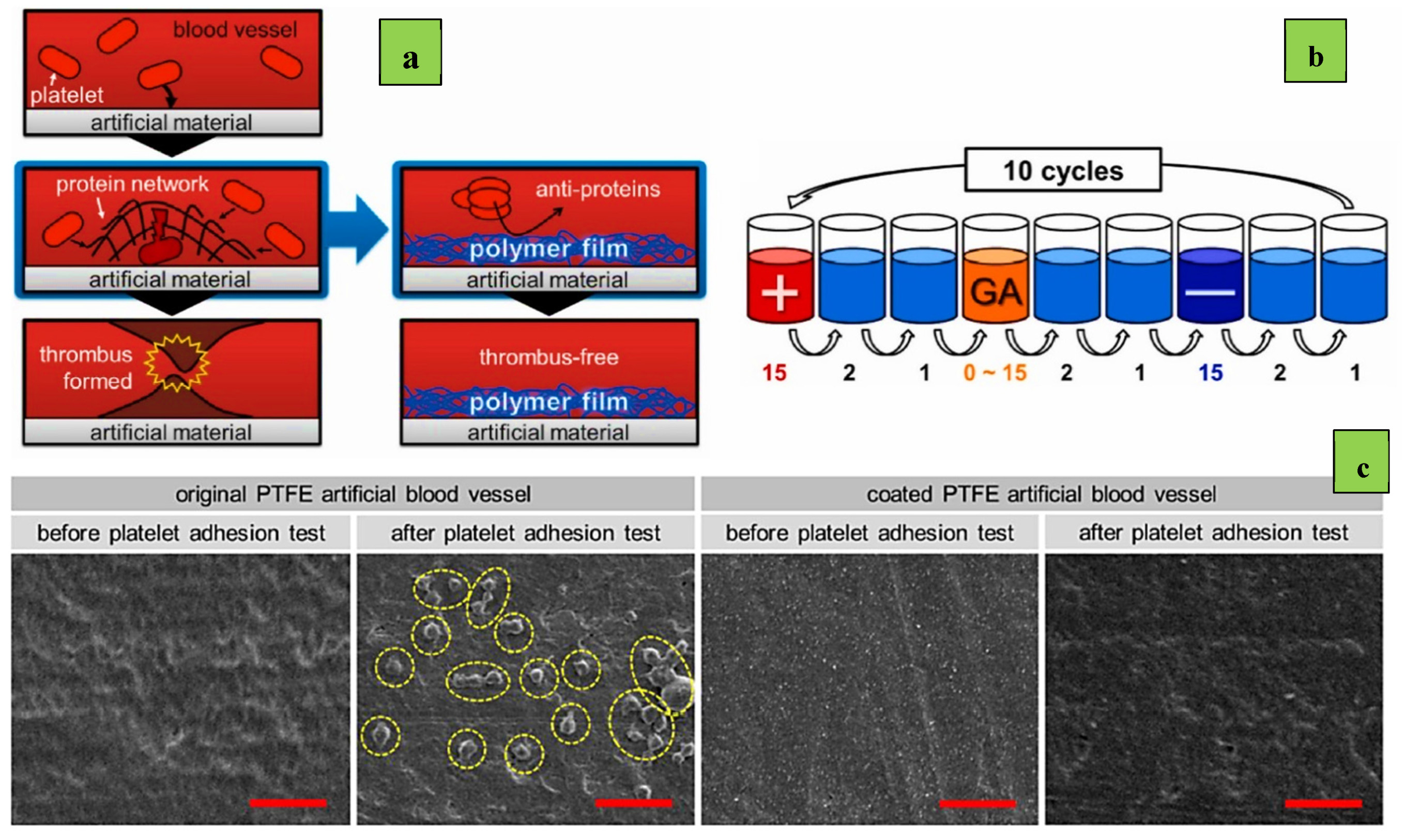 Polymers 14 01075 g005 550