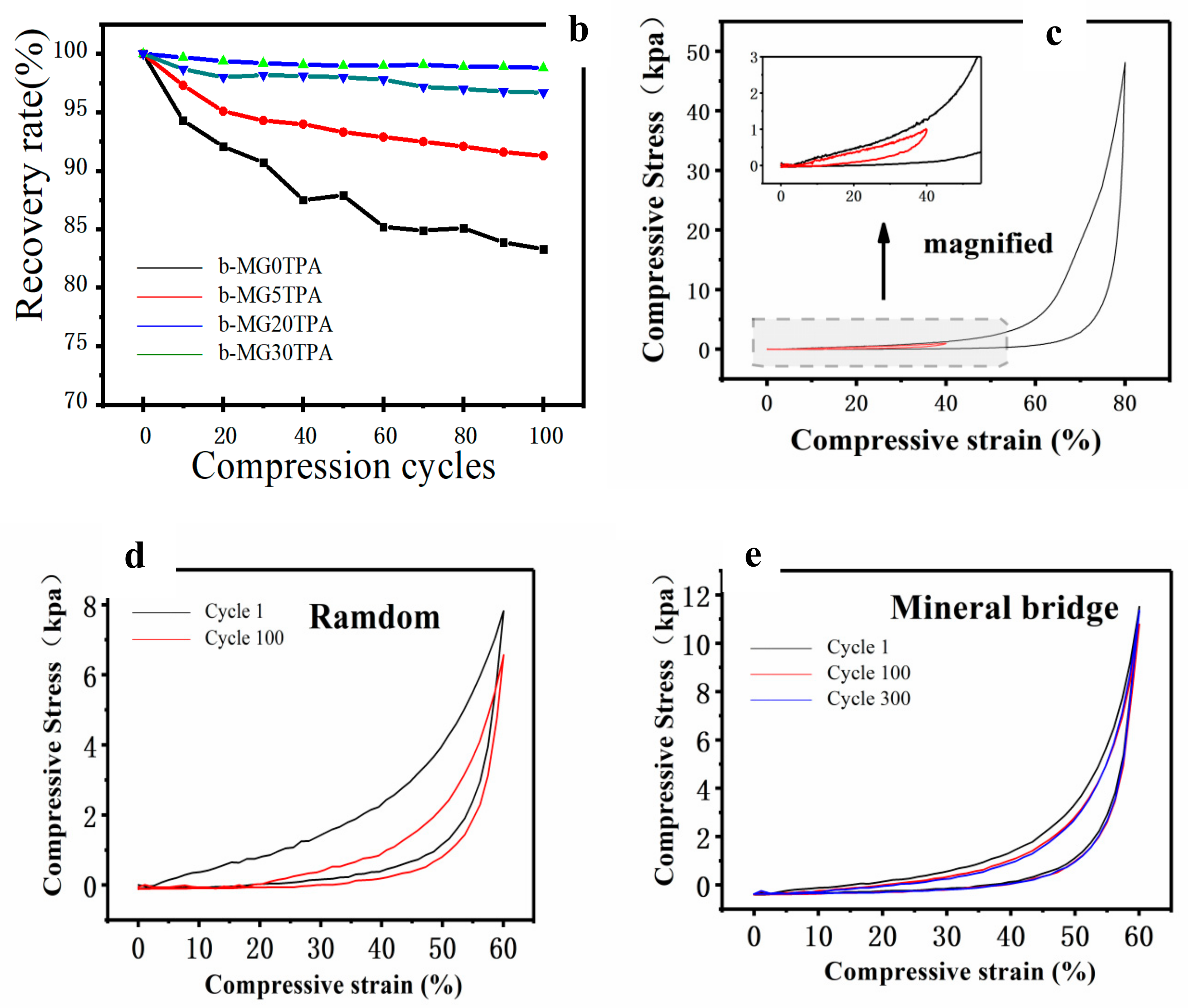 Polymers 14 01077 g005b